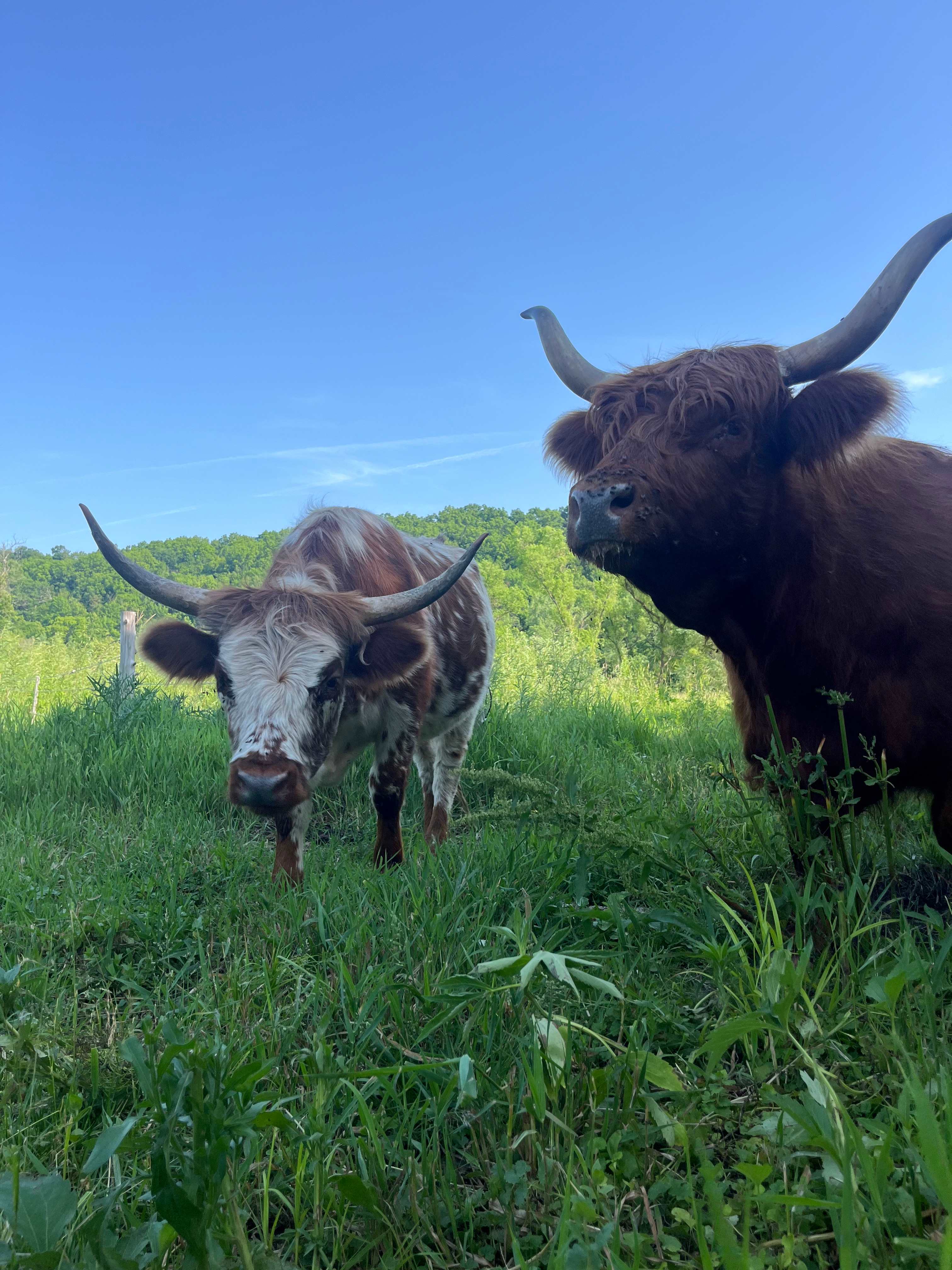Driftless Farm-Stay at Pink River