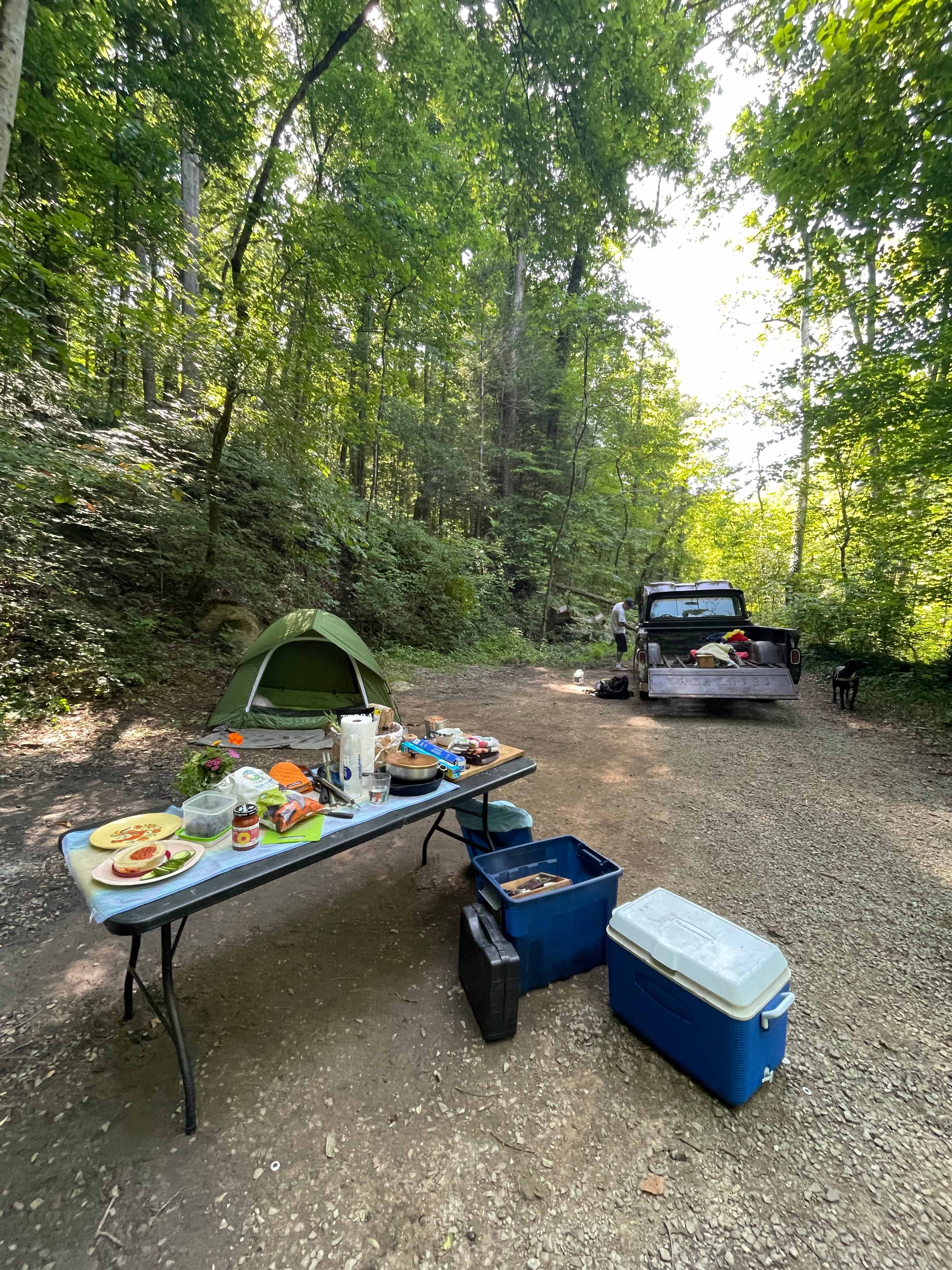 Camping at Redtail Farm