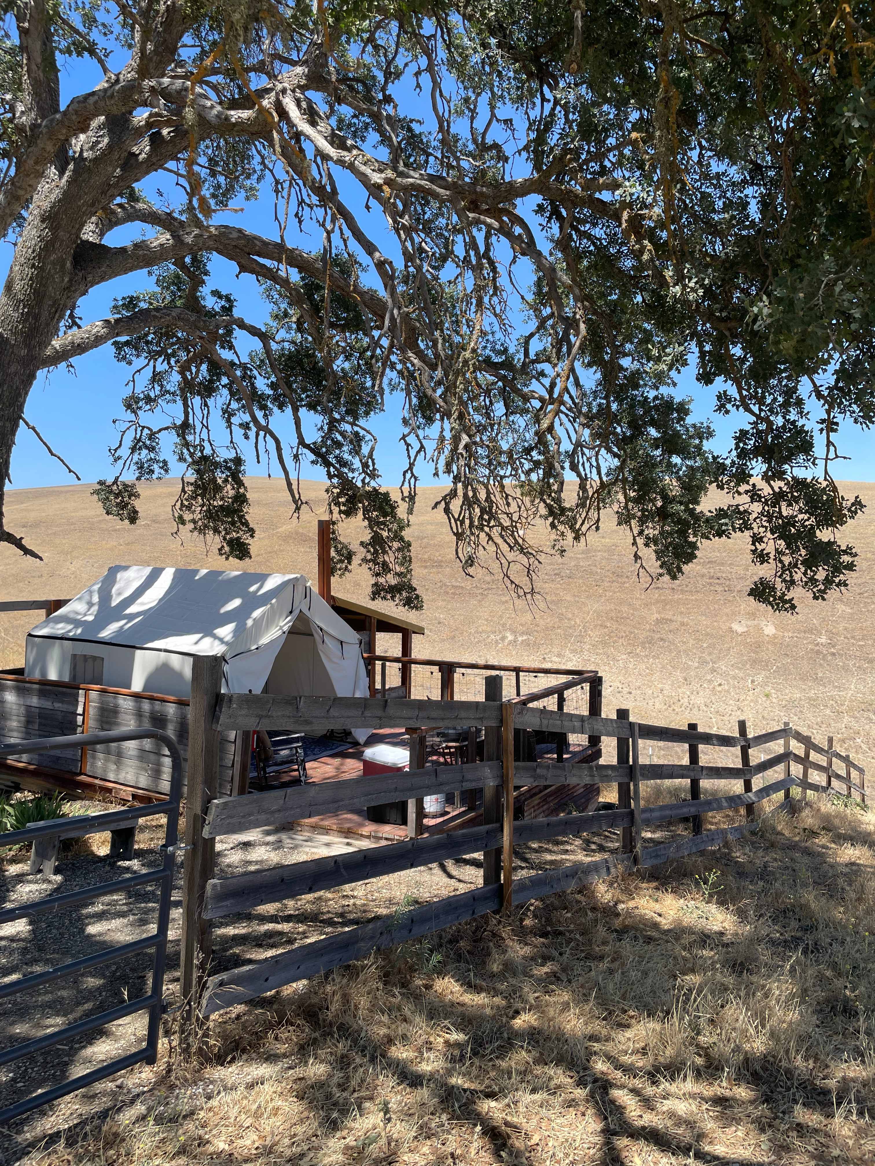 Enney's Ranch