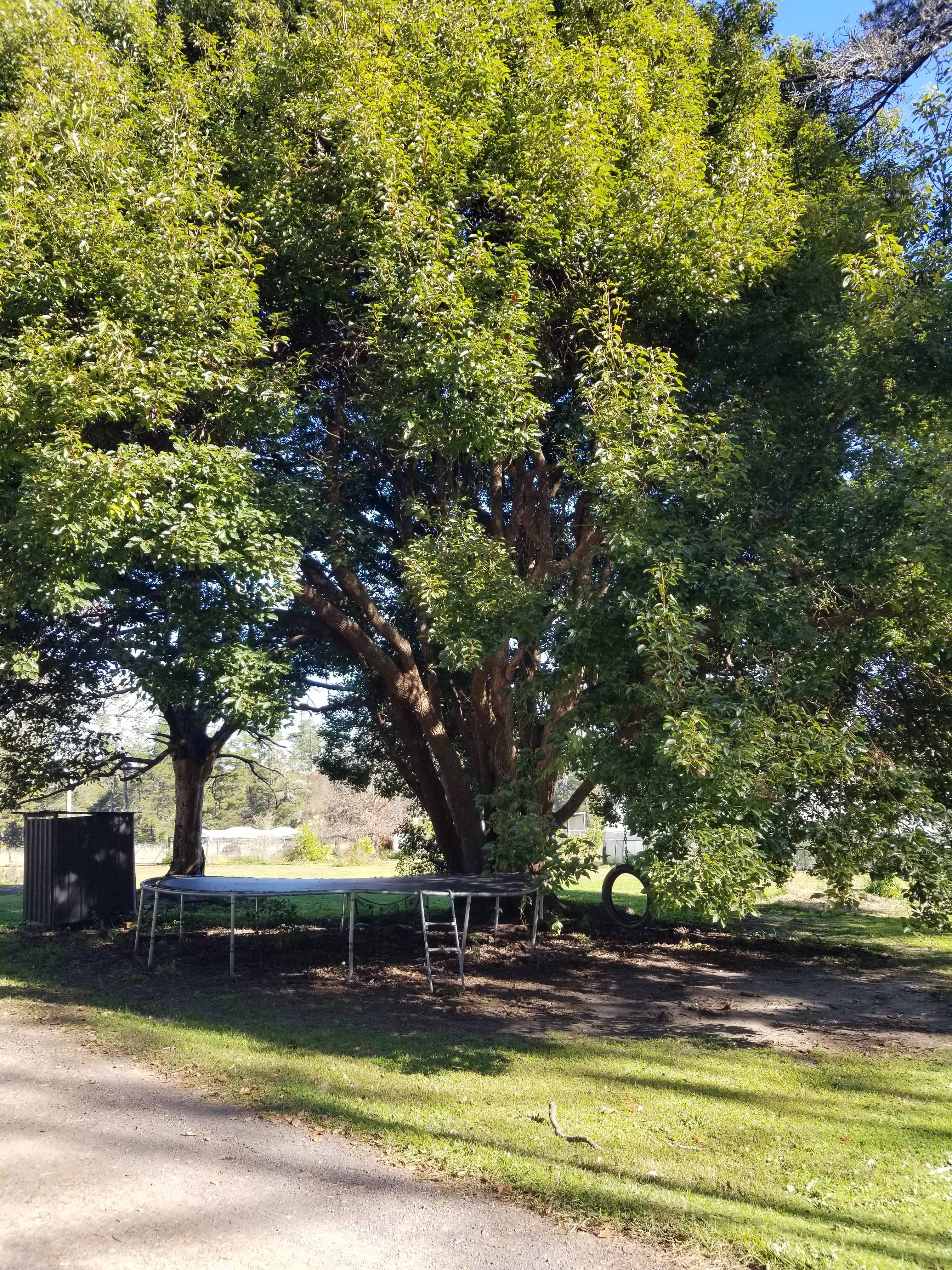Willa Willa Park