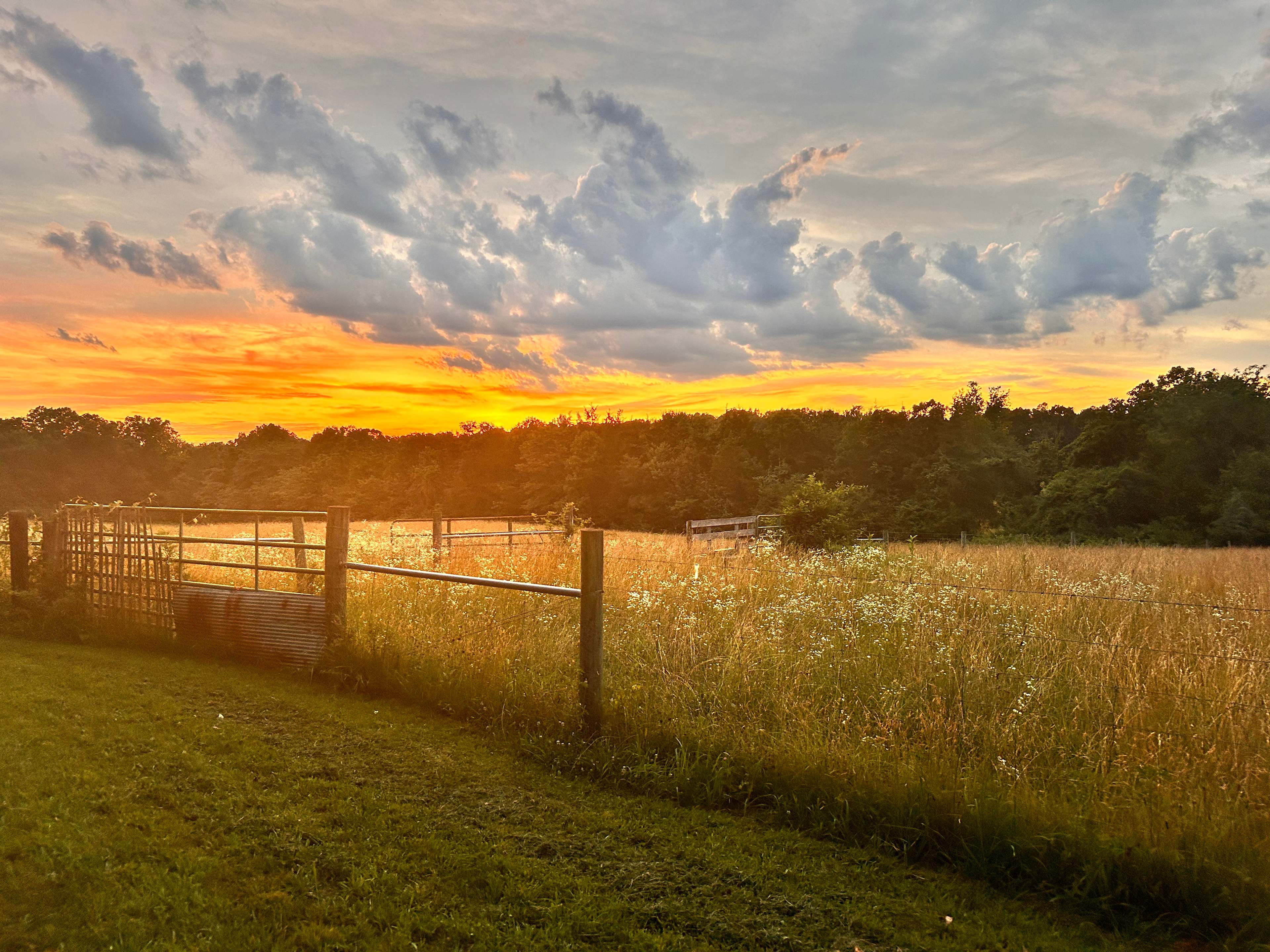 Nealand Farm