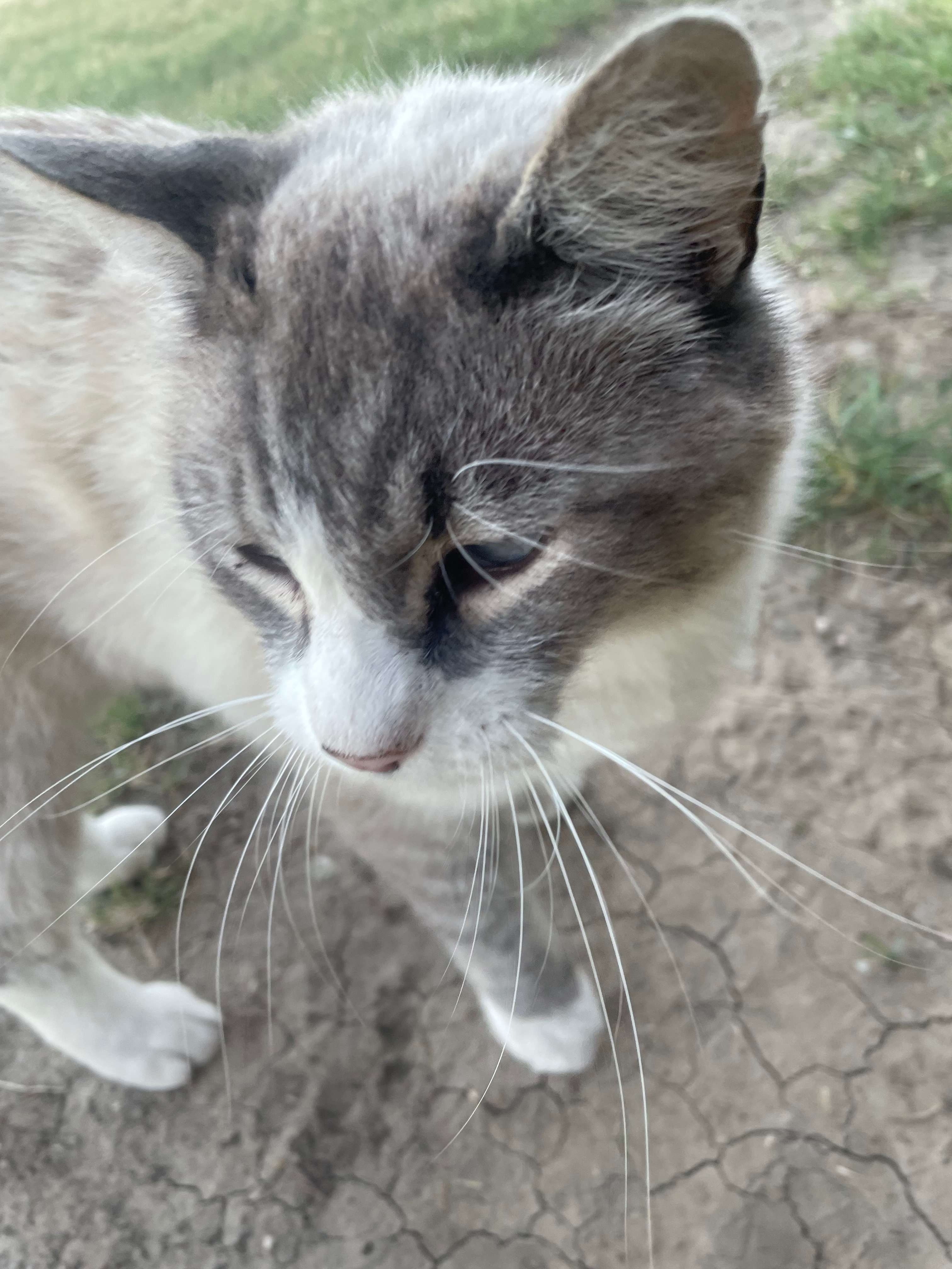 My oldest daughter had so much fun taking pictures of all the animals!!