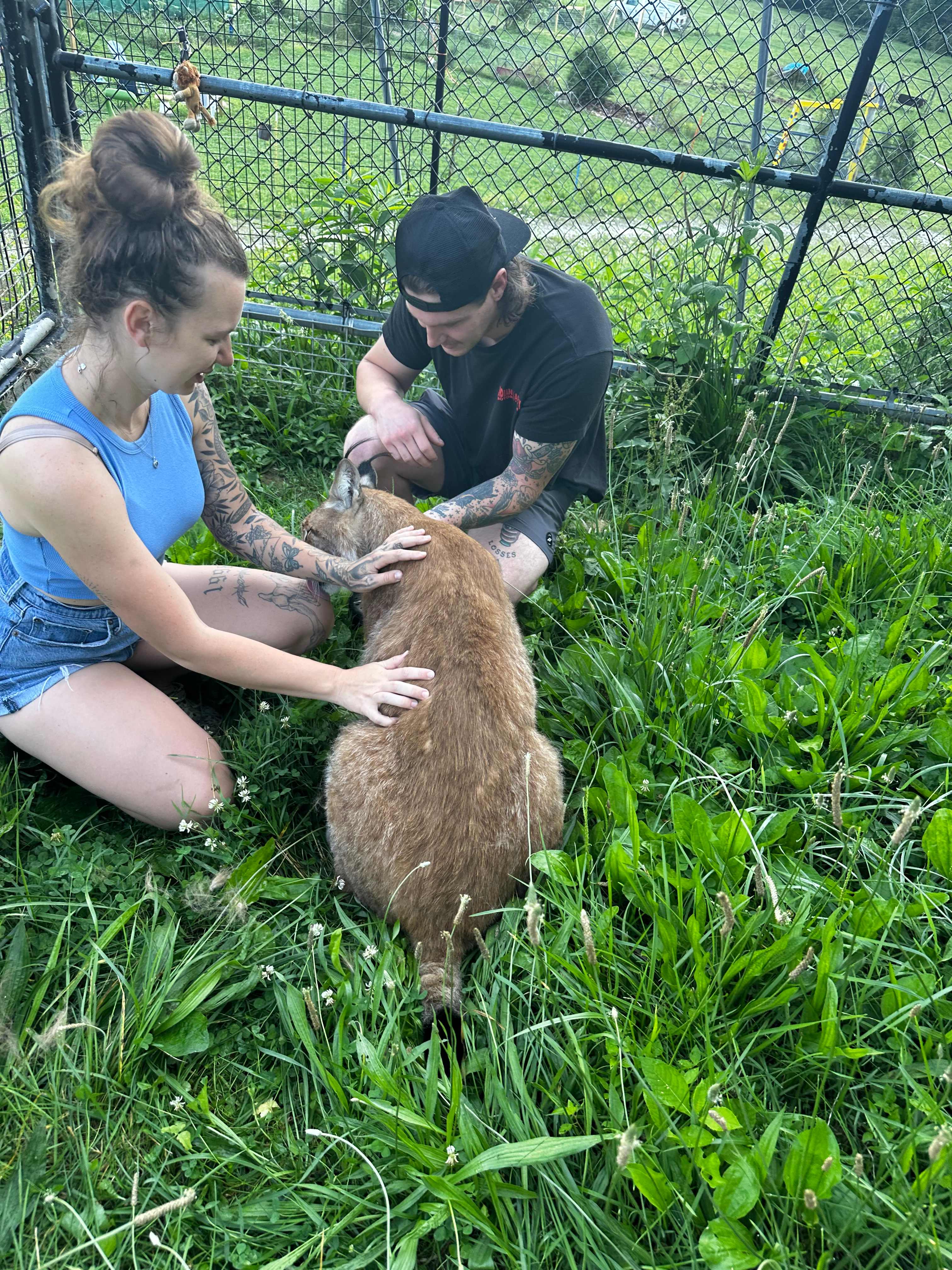 Critter Camp