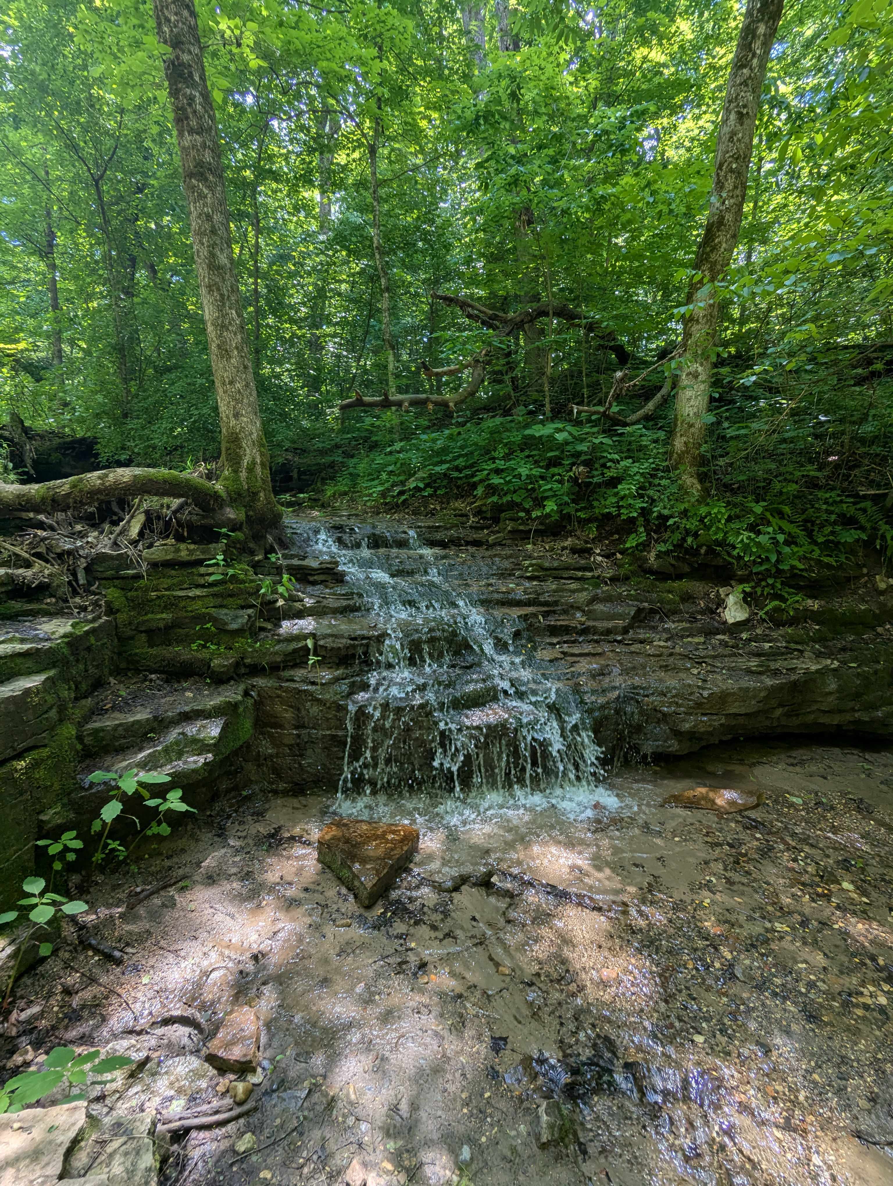 Prairie Creek Campground