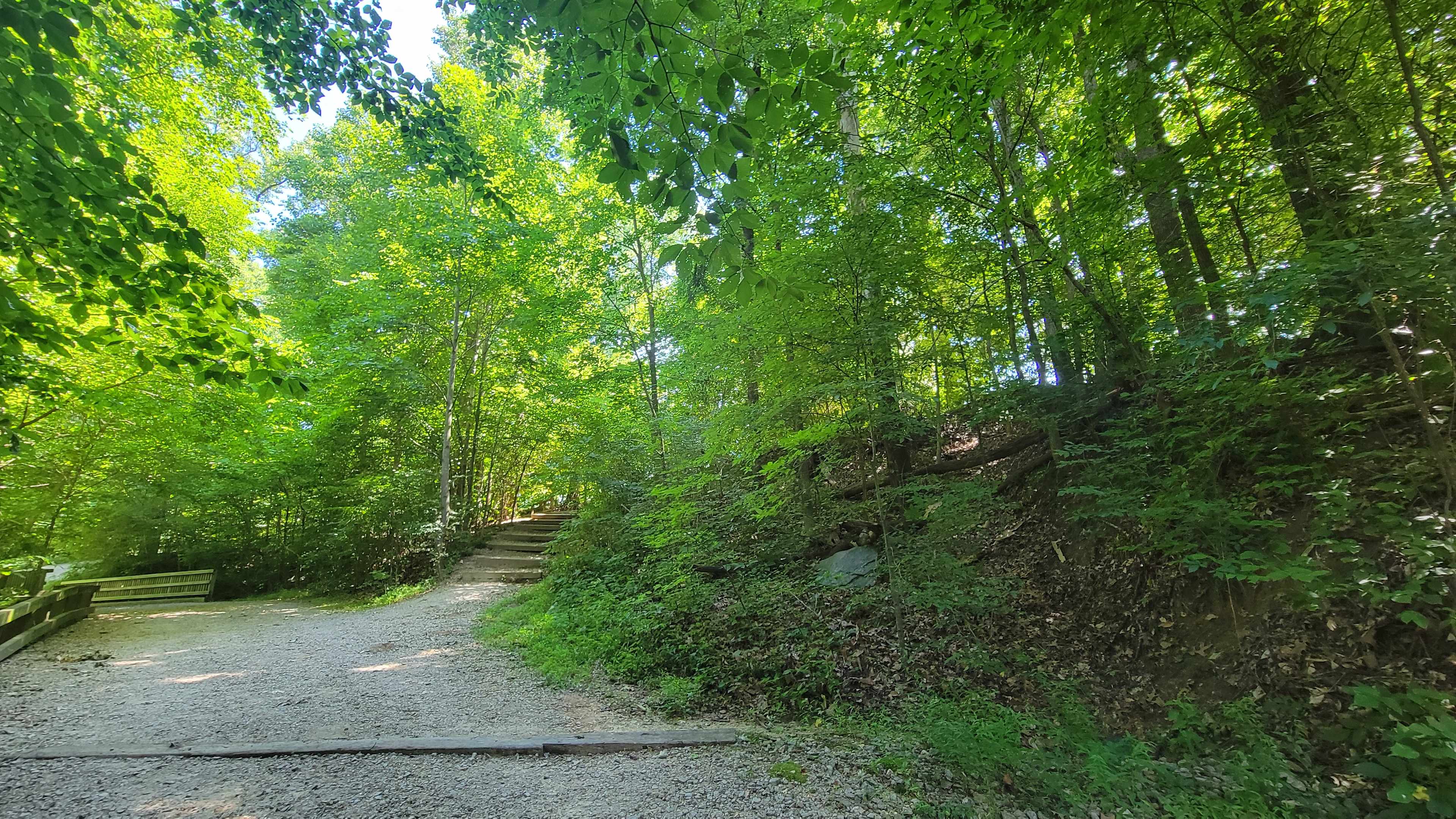 Scott’s Lakeview Camp and Park
