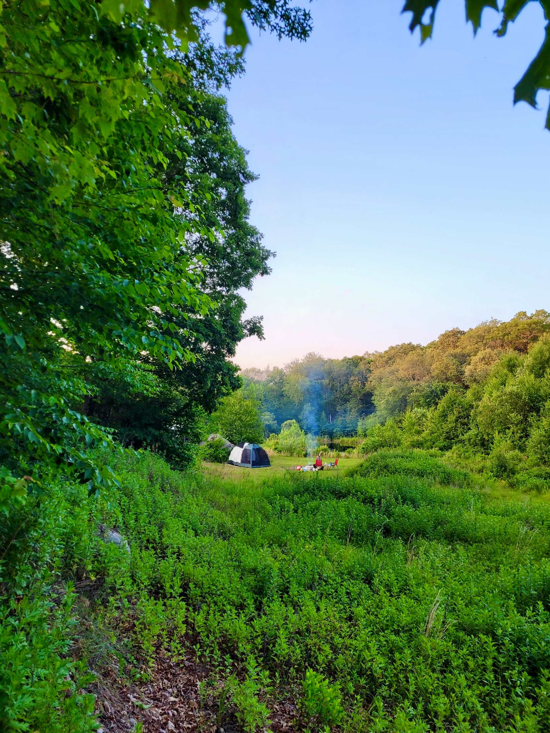 Adesa Farm