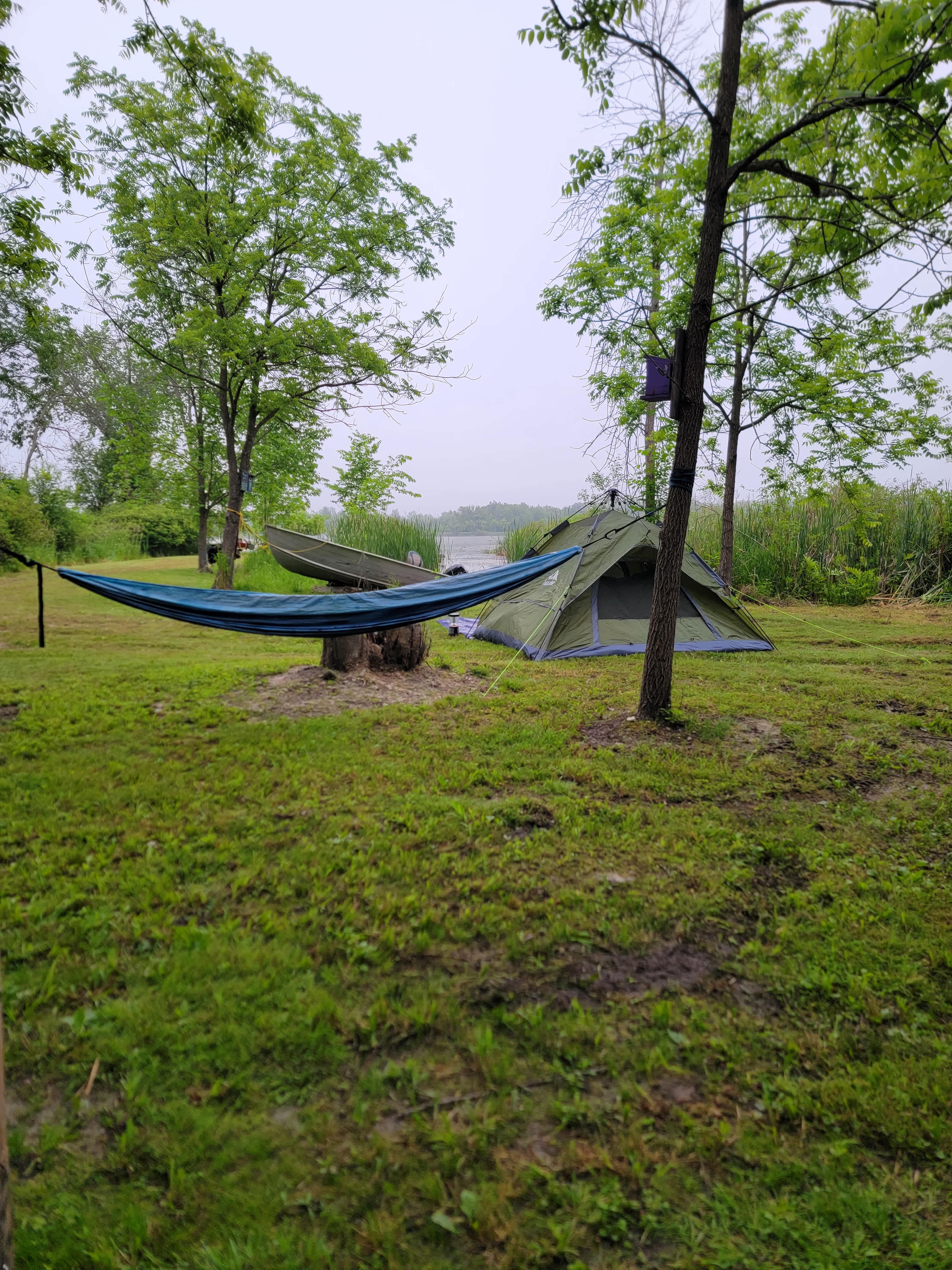 Down by the River