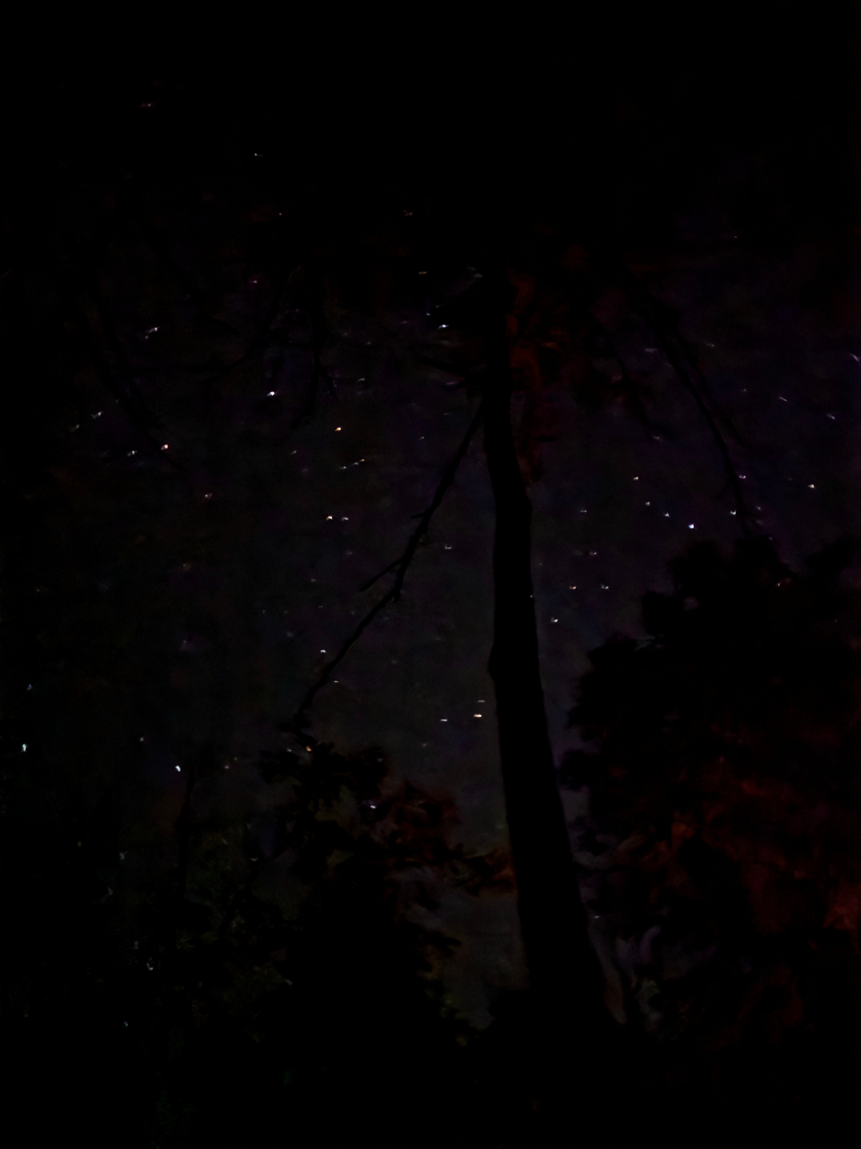 Backwoods Camping
