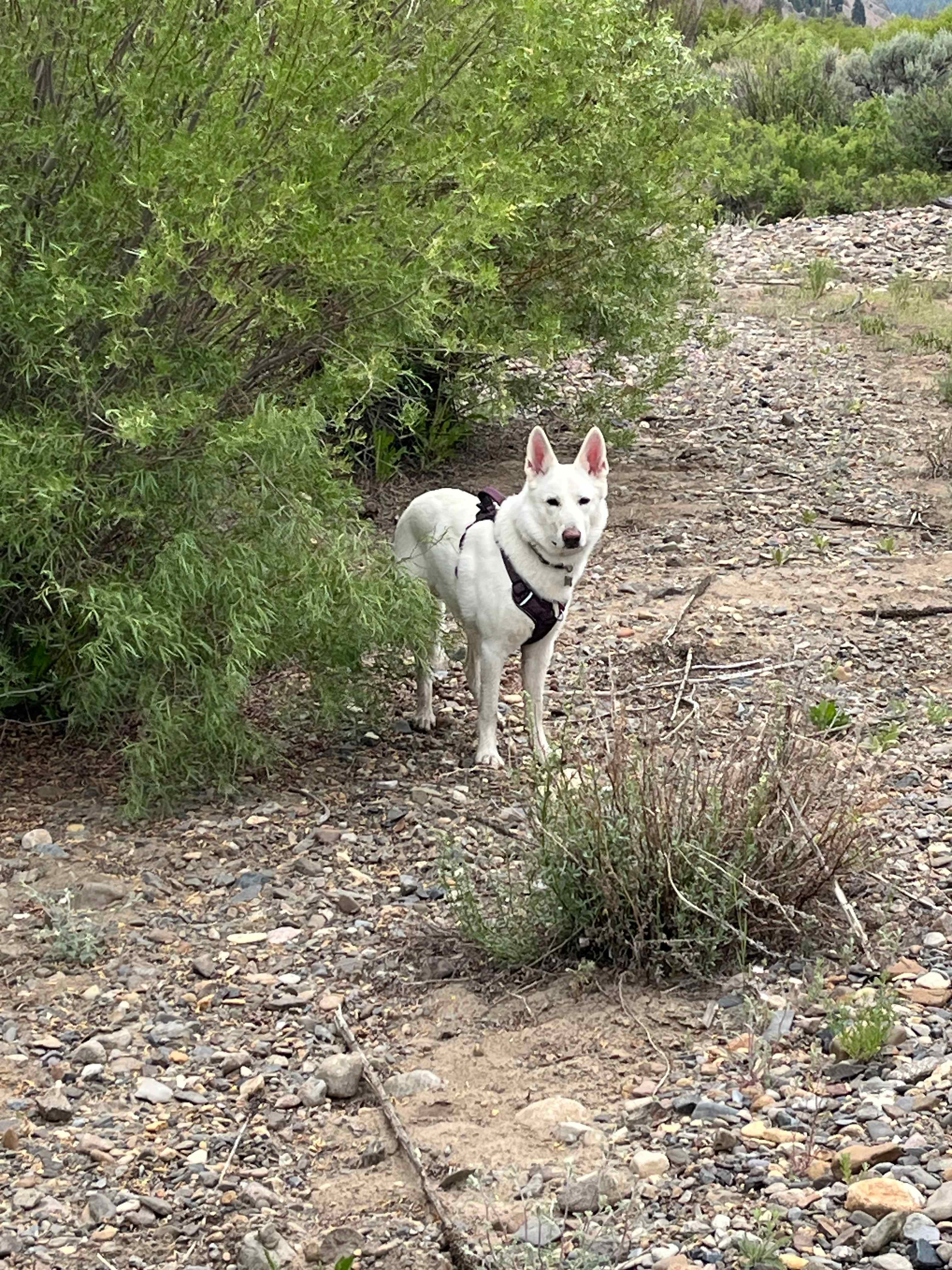 Idaho's Best Kept Secret!