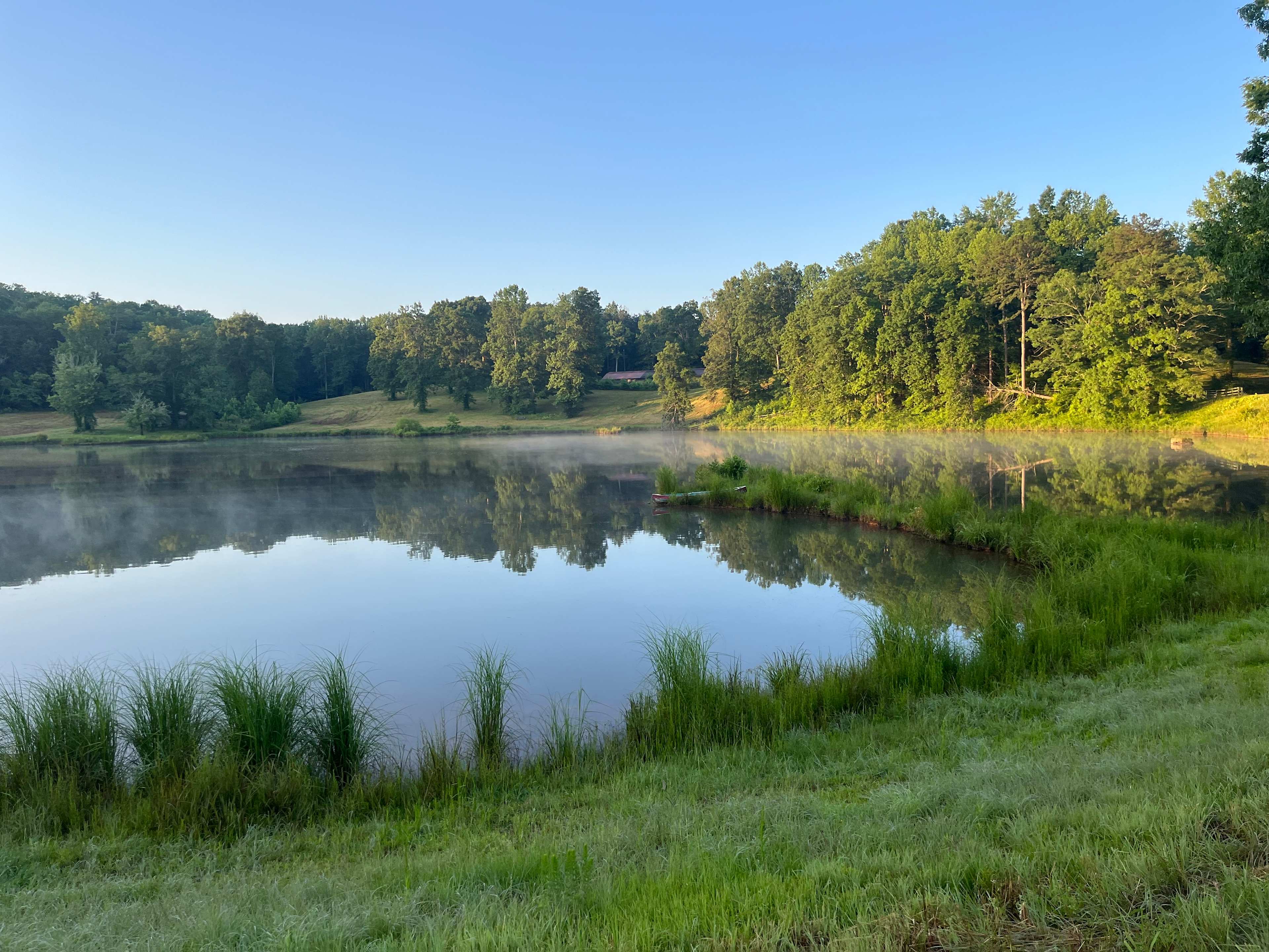 Owls nest private camp