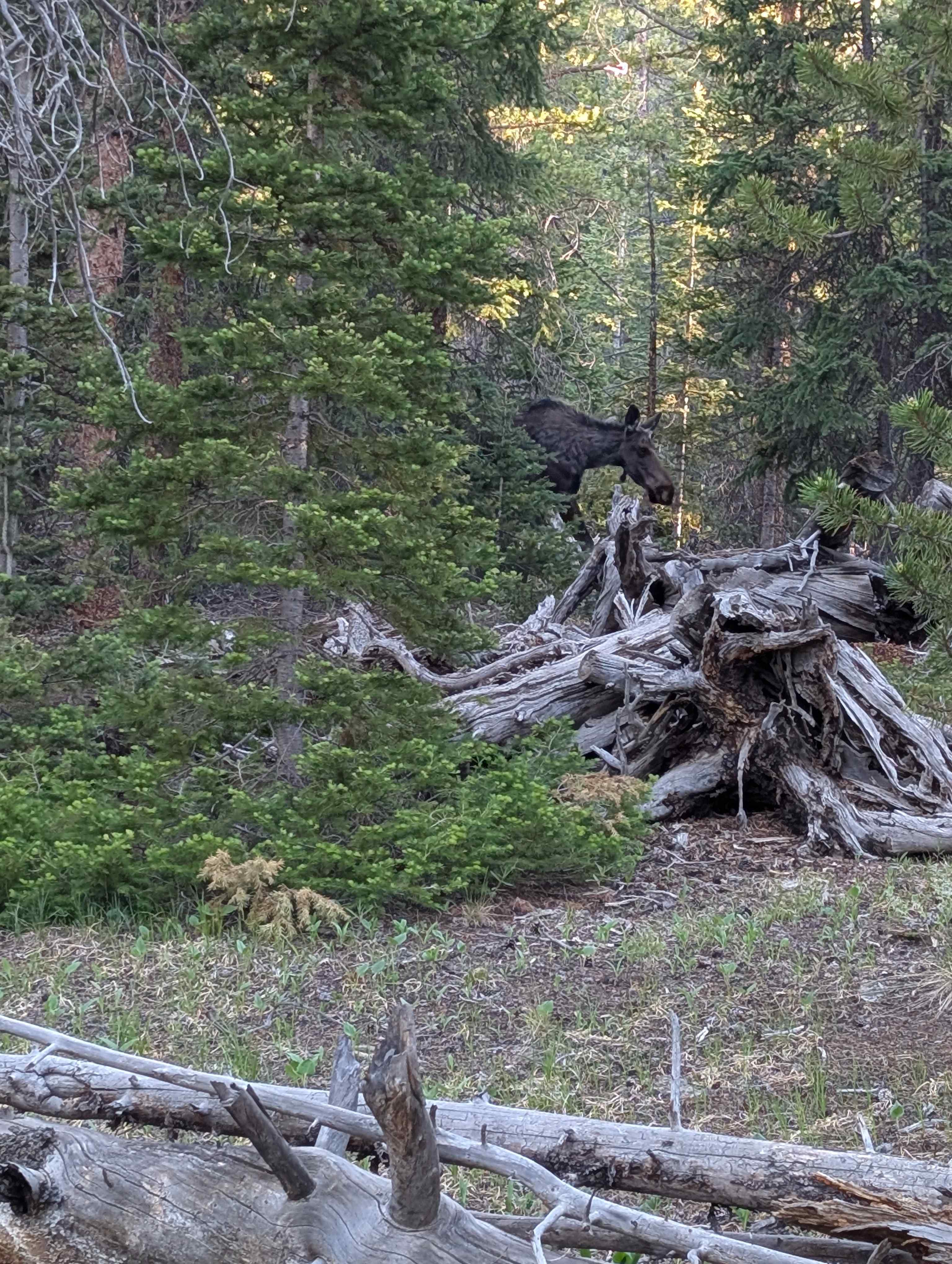 Peaceful Ranch, South Park