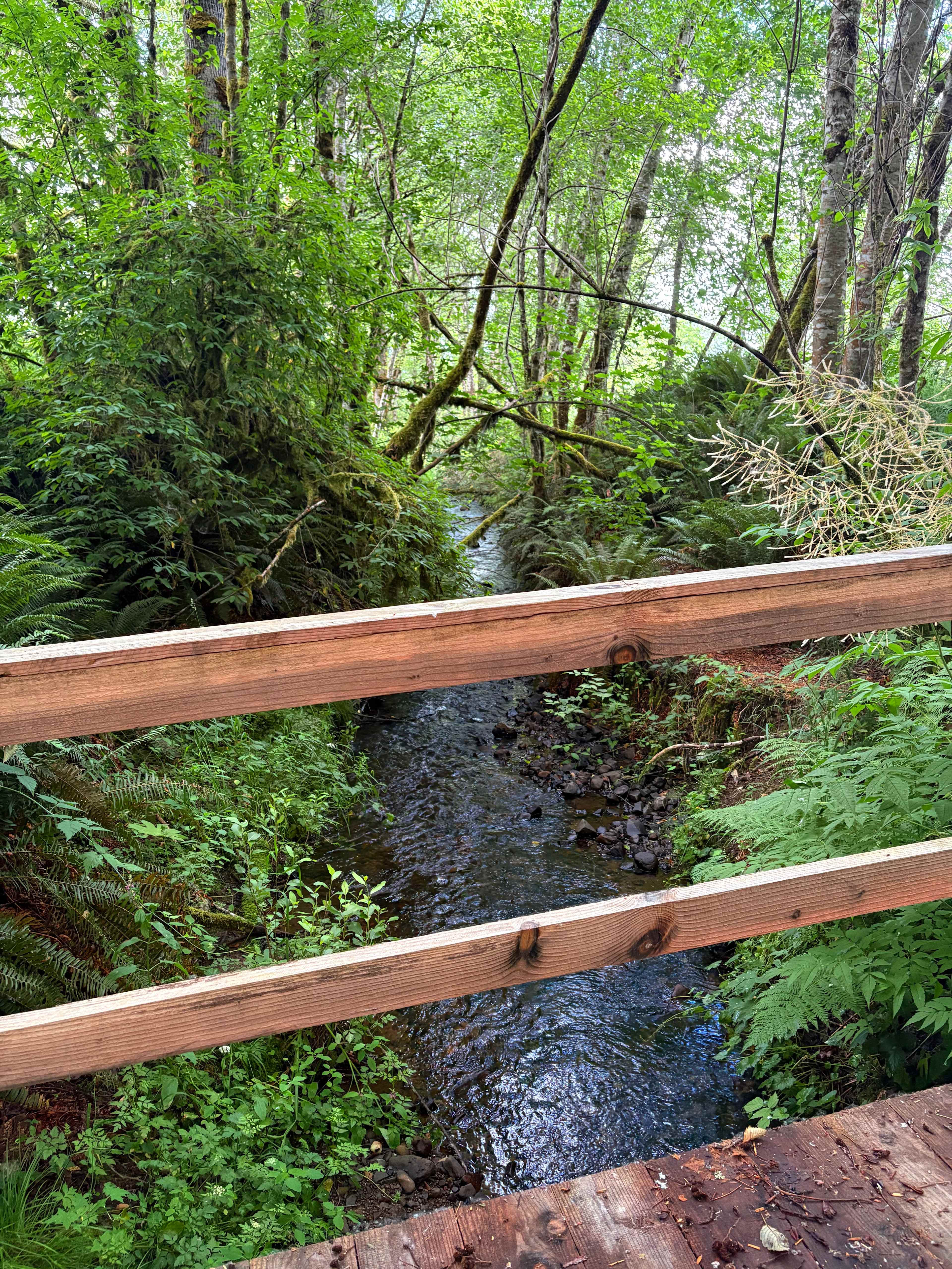 Favorite Creek Campground