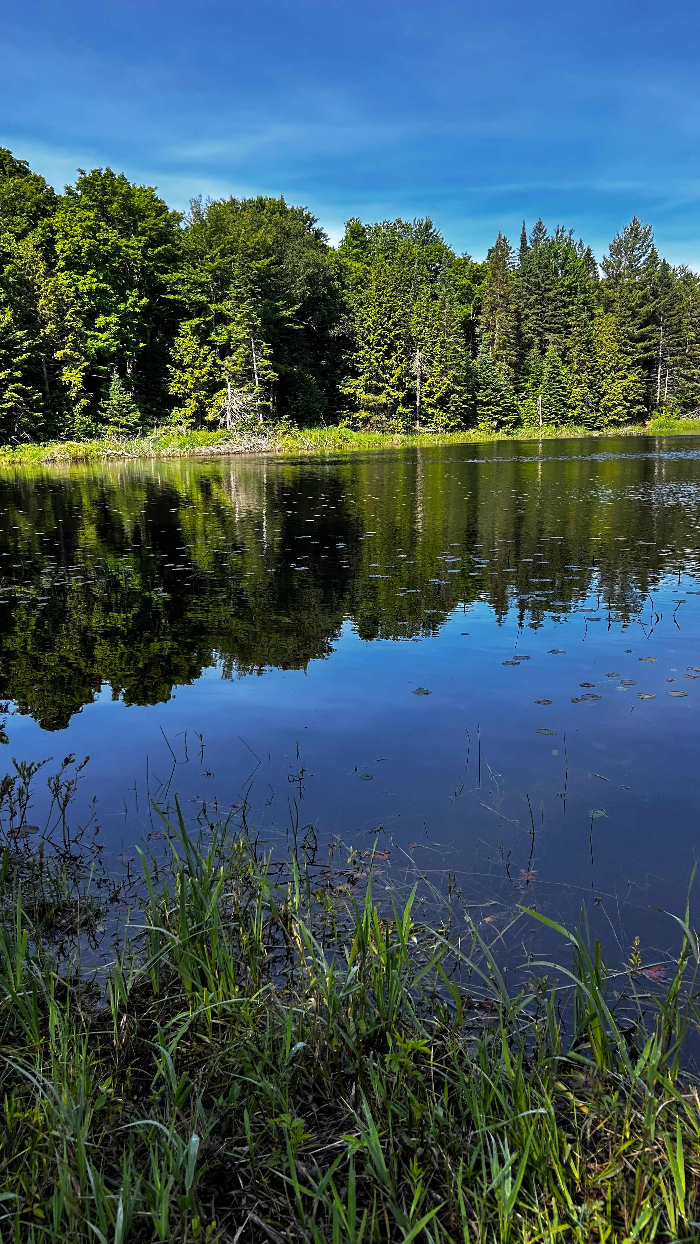 Ball Lake Tent Camping