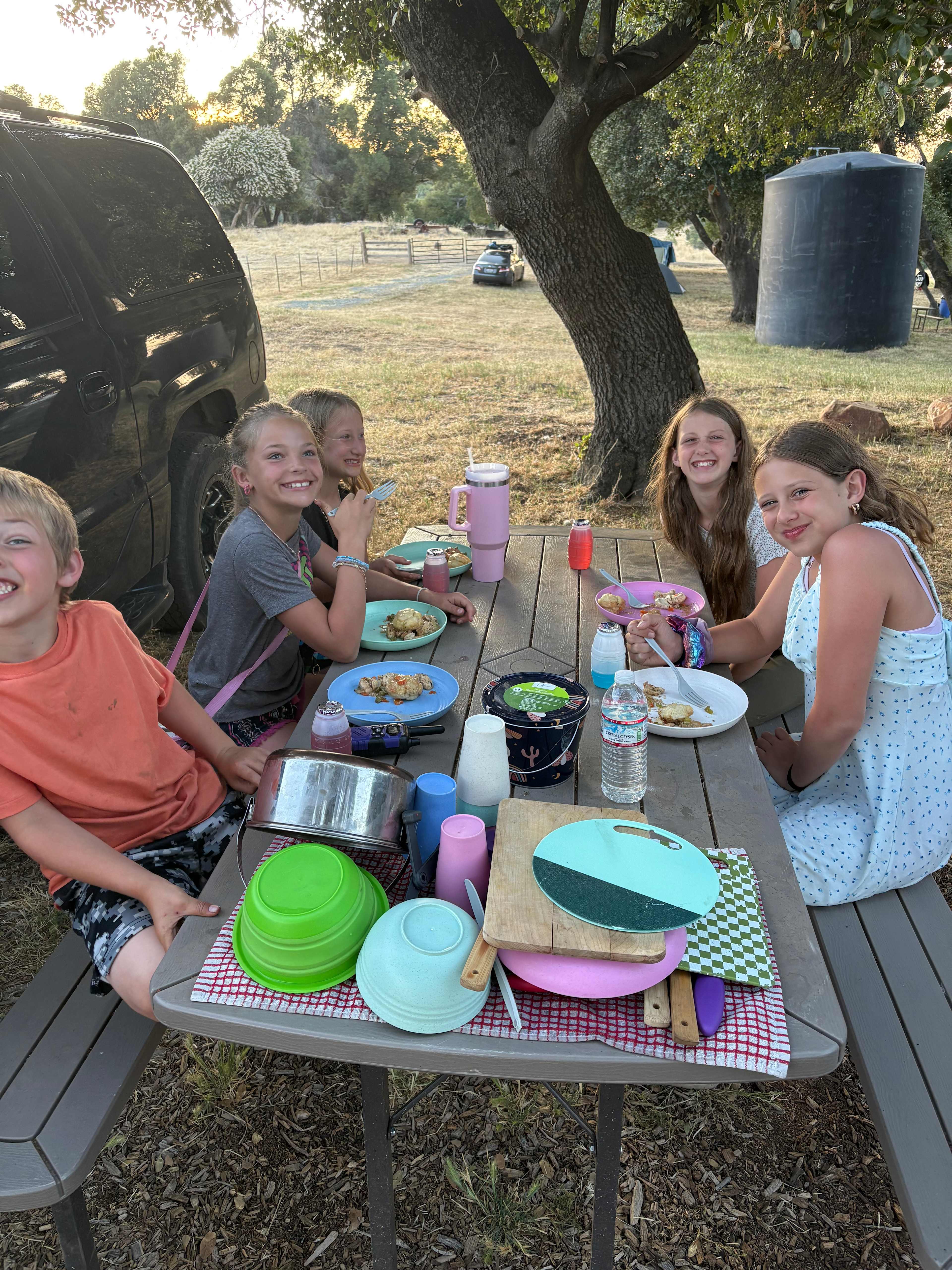 Picnic table under a shade tree