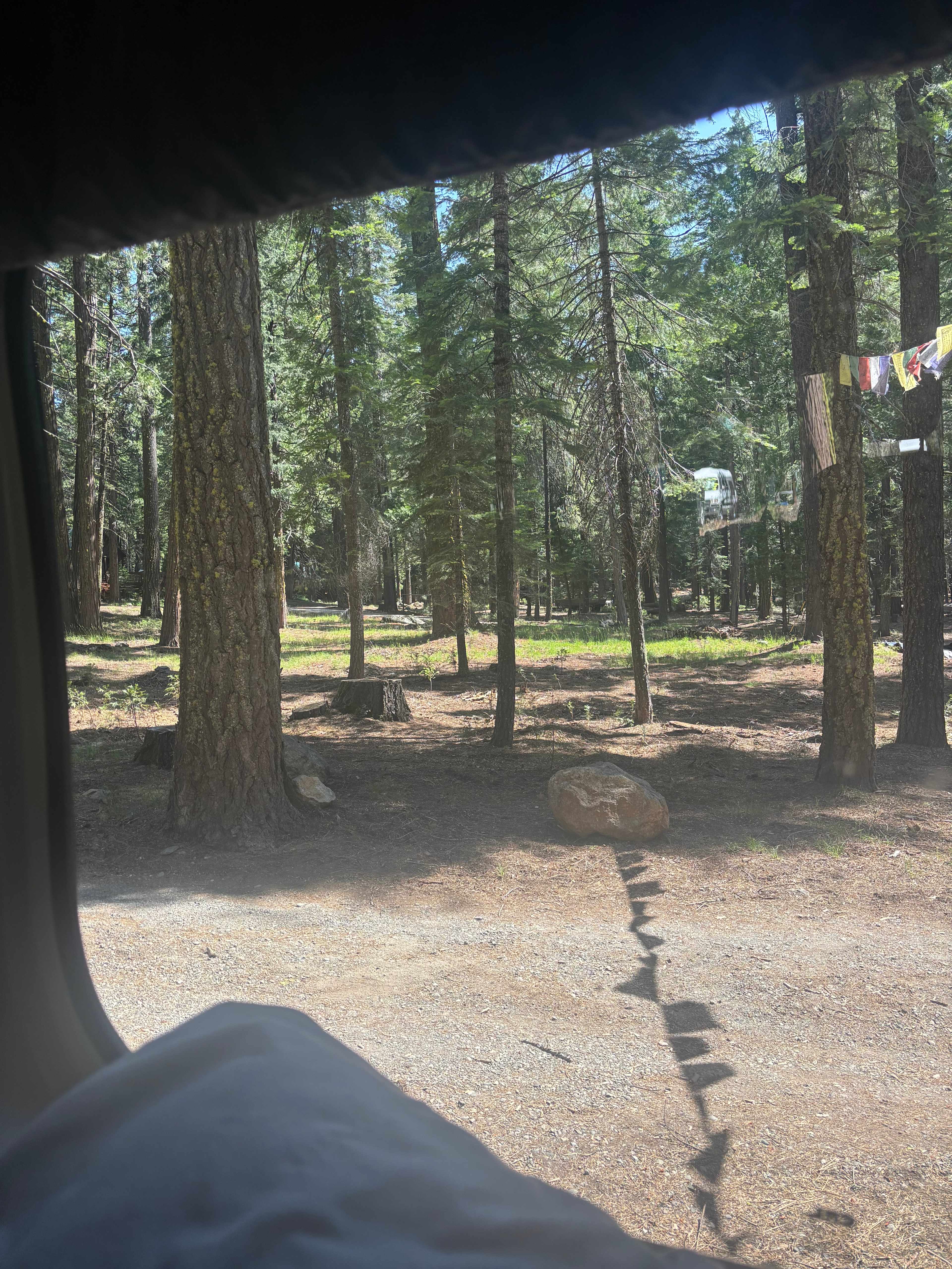 Mill Creek Resort