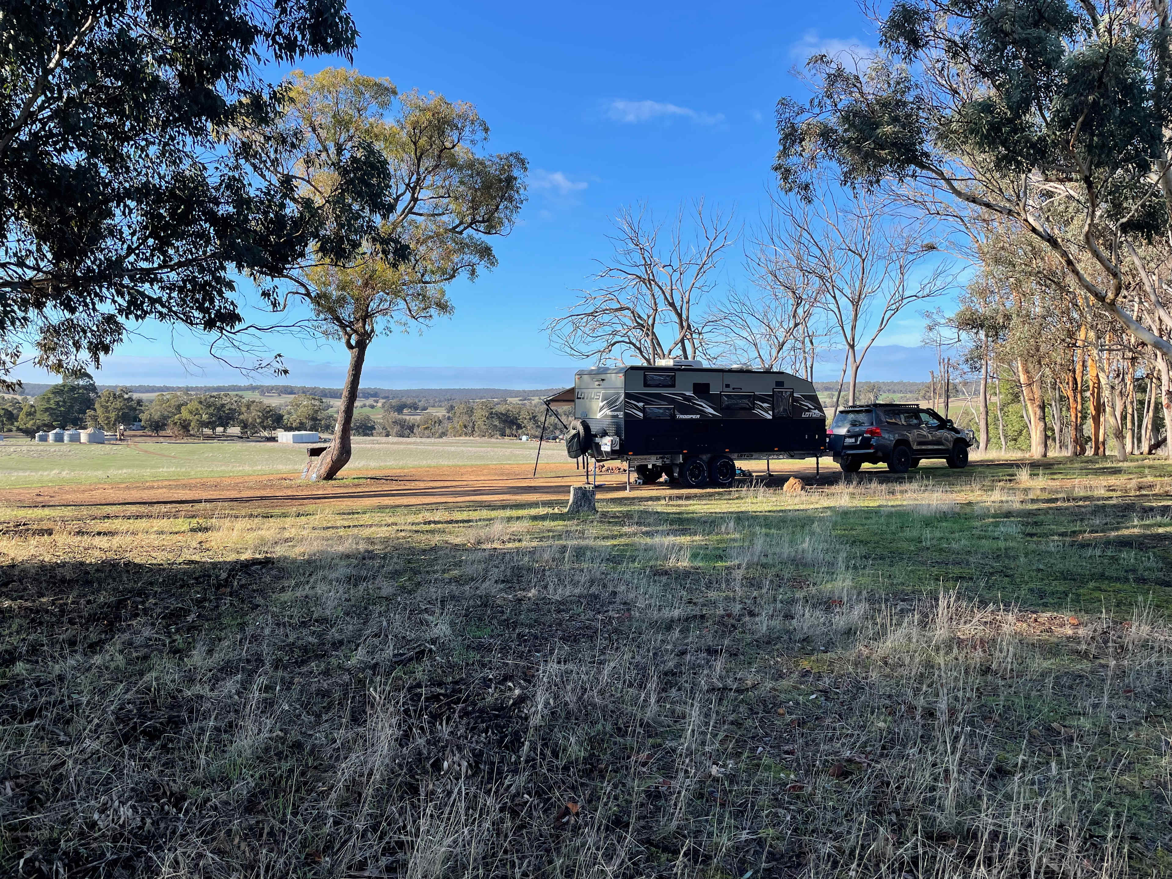 Pinegrove Camping