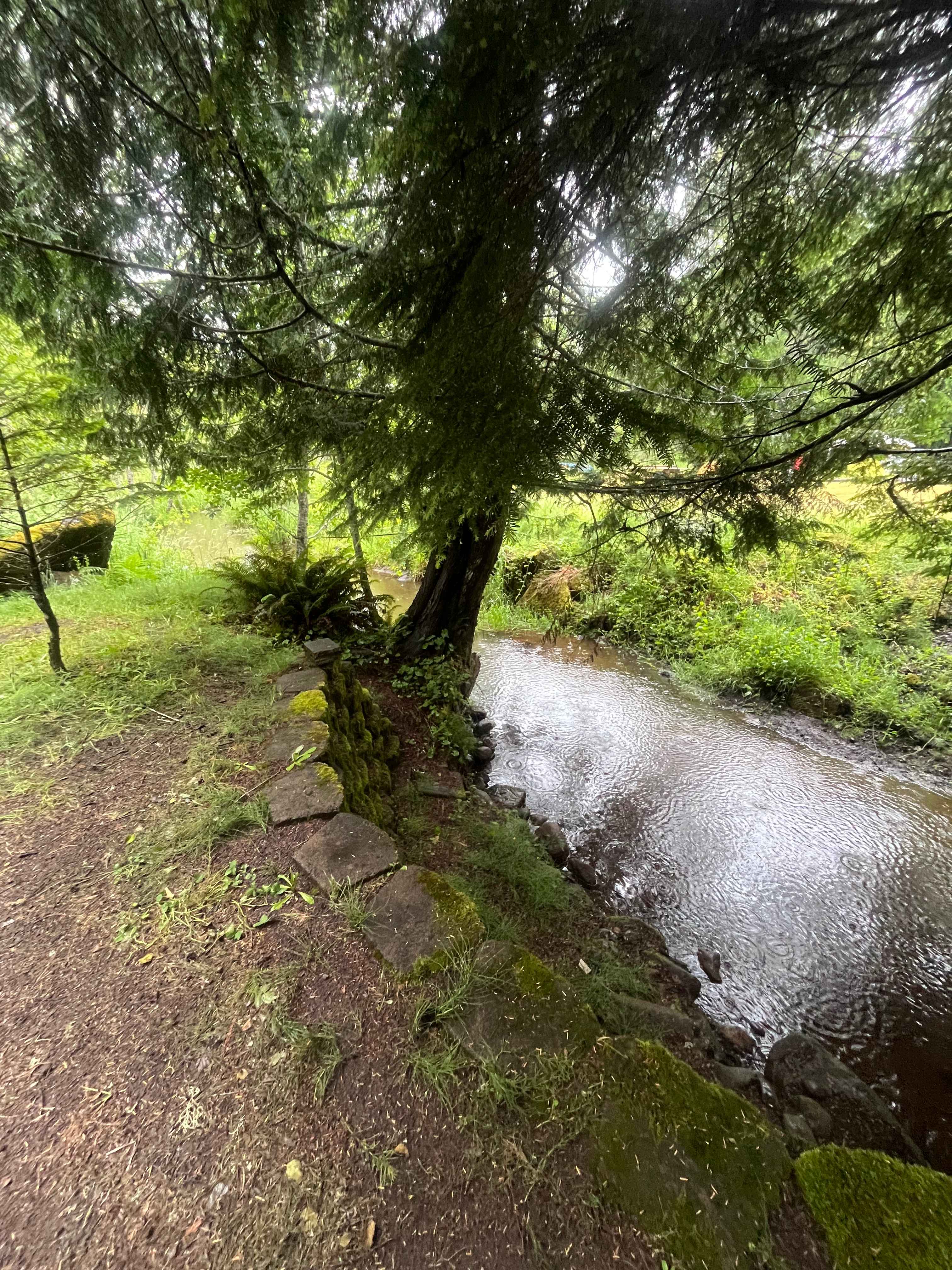Wilderness Path
