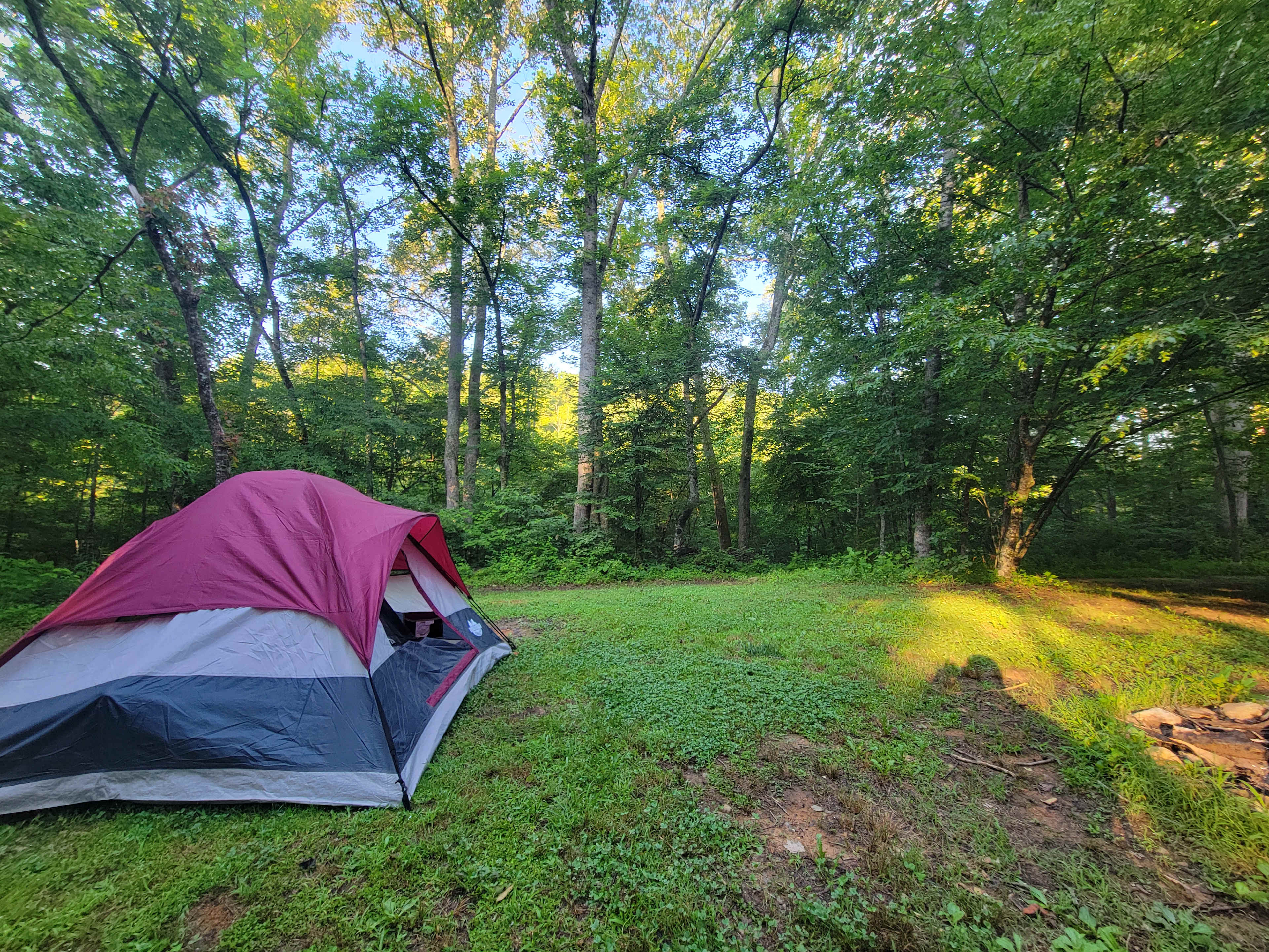 Woods Camp