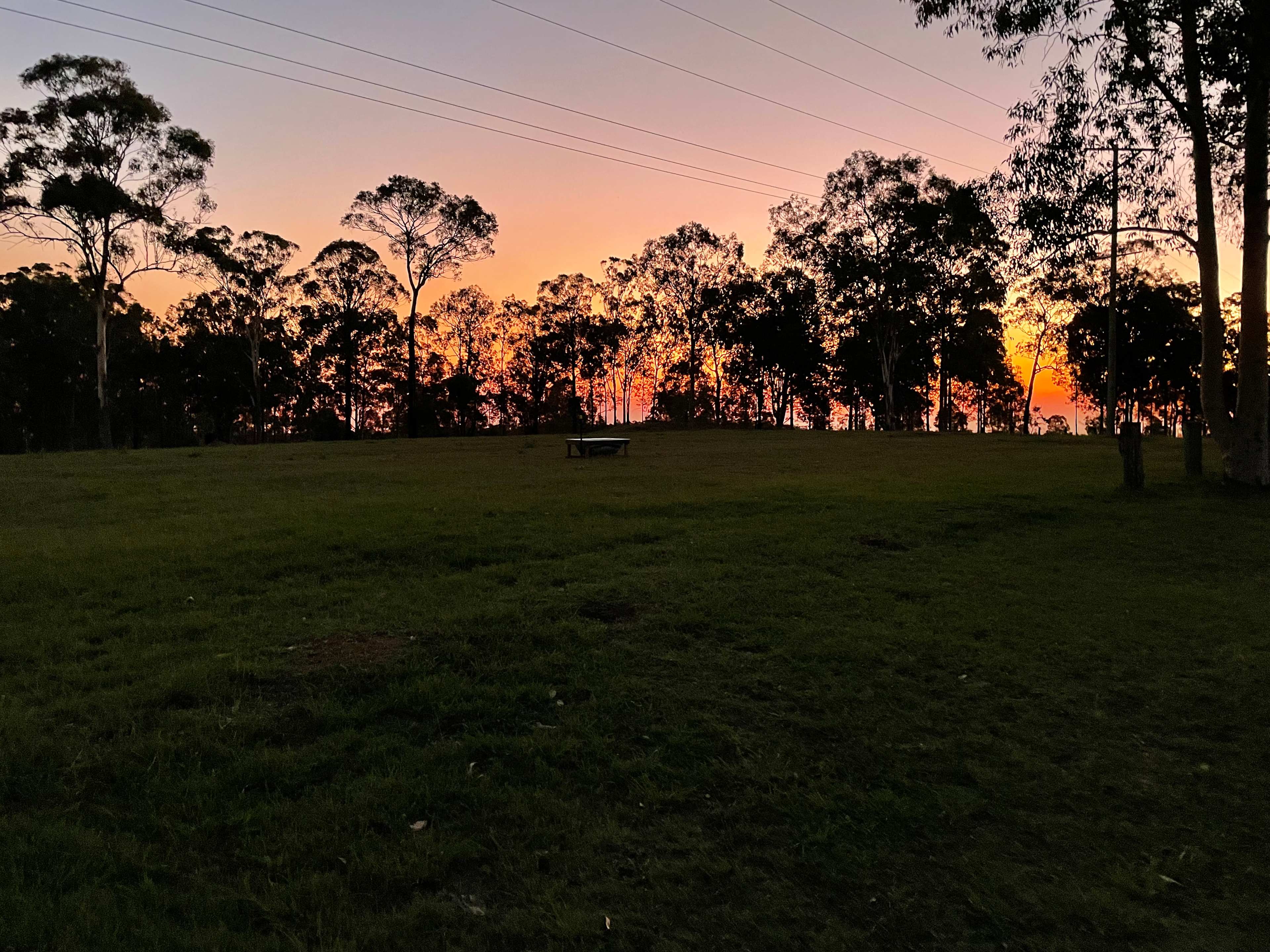 Eeyore And Snore Hunter Valley