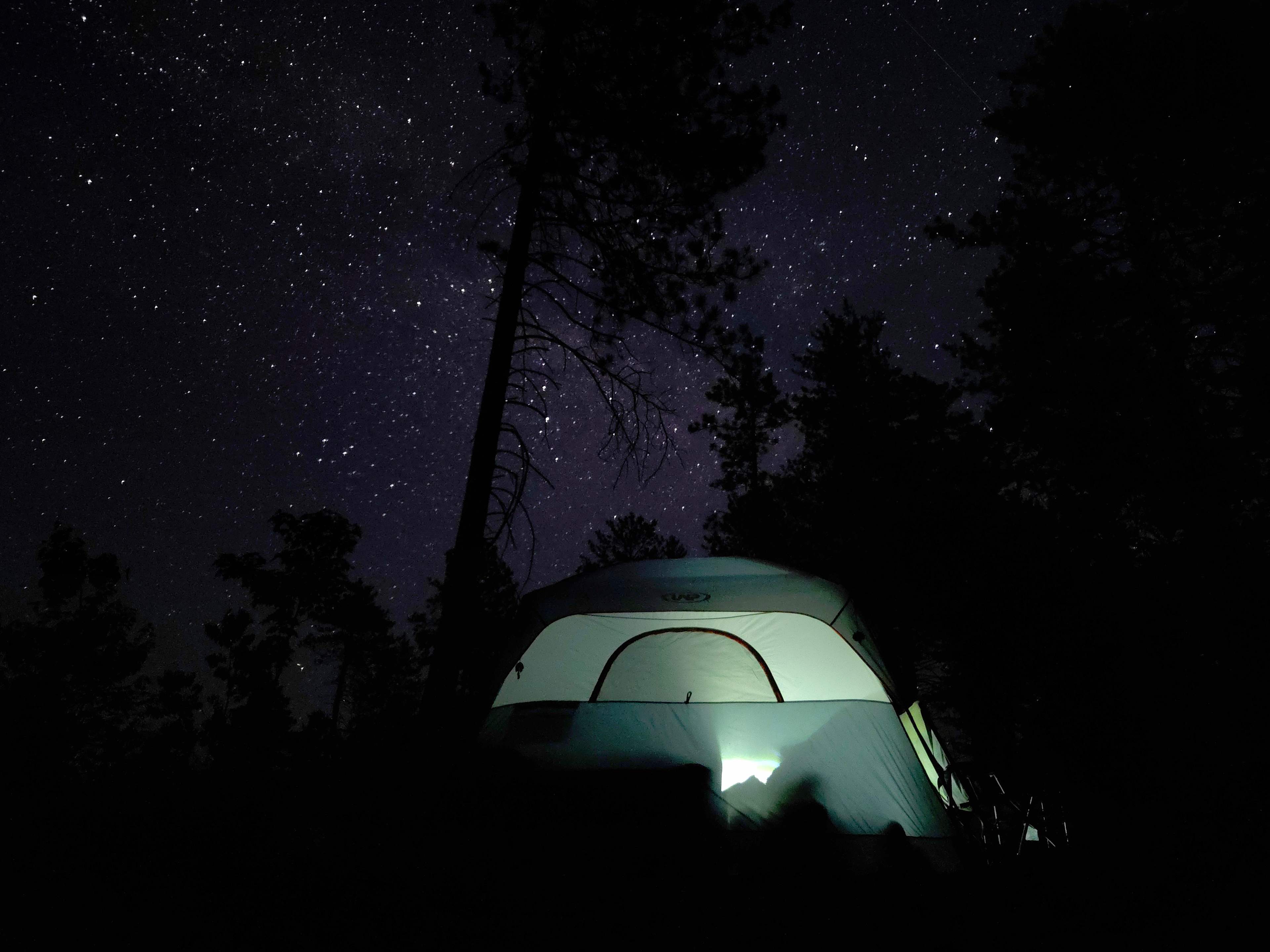 Under the stars 
