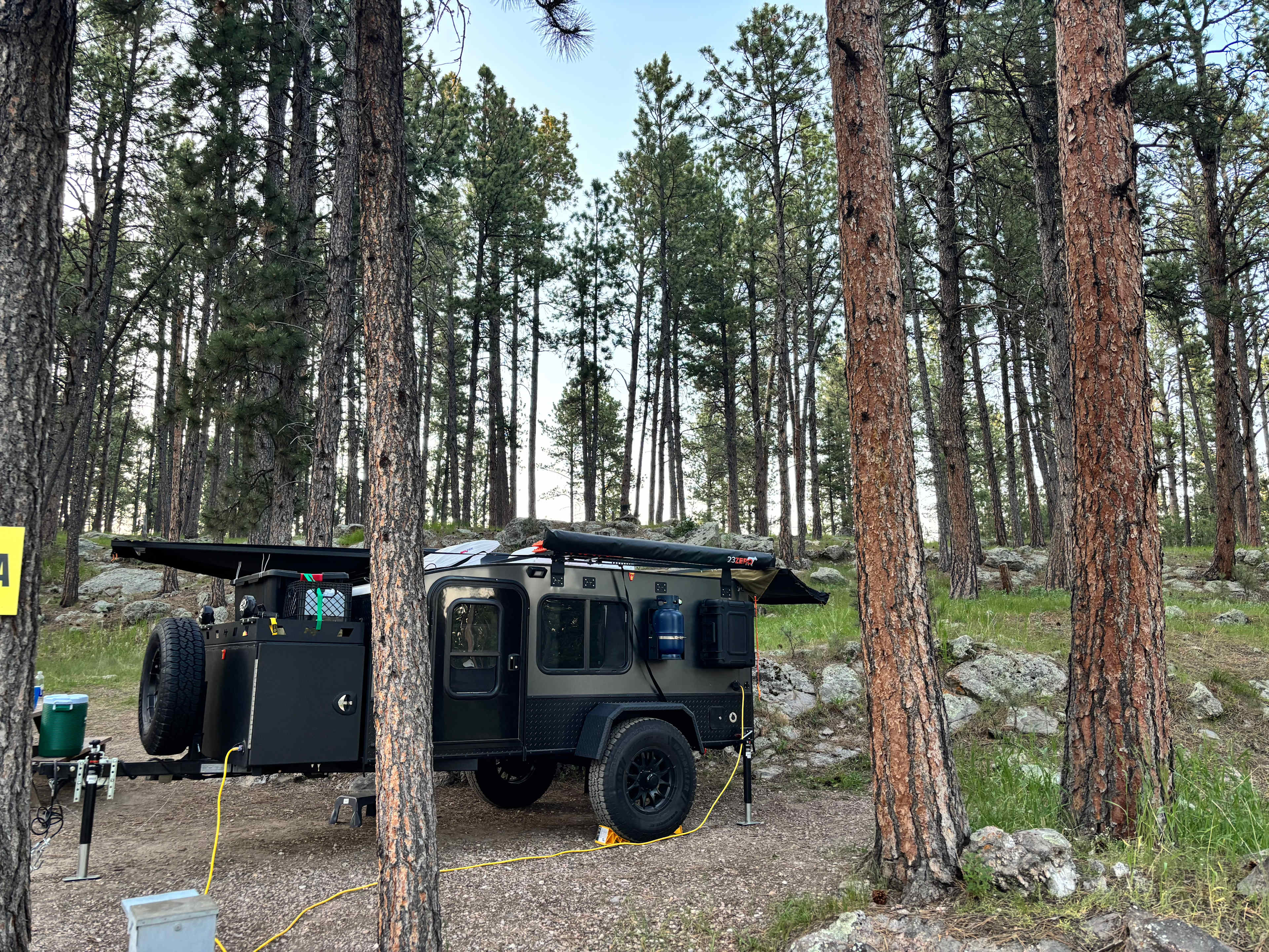 Tent camping near a pine forest