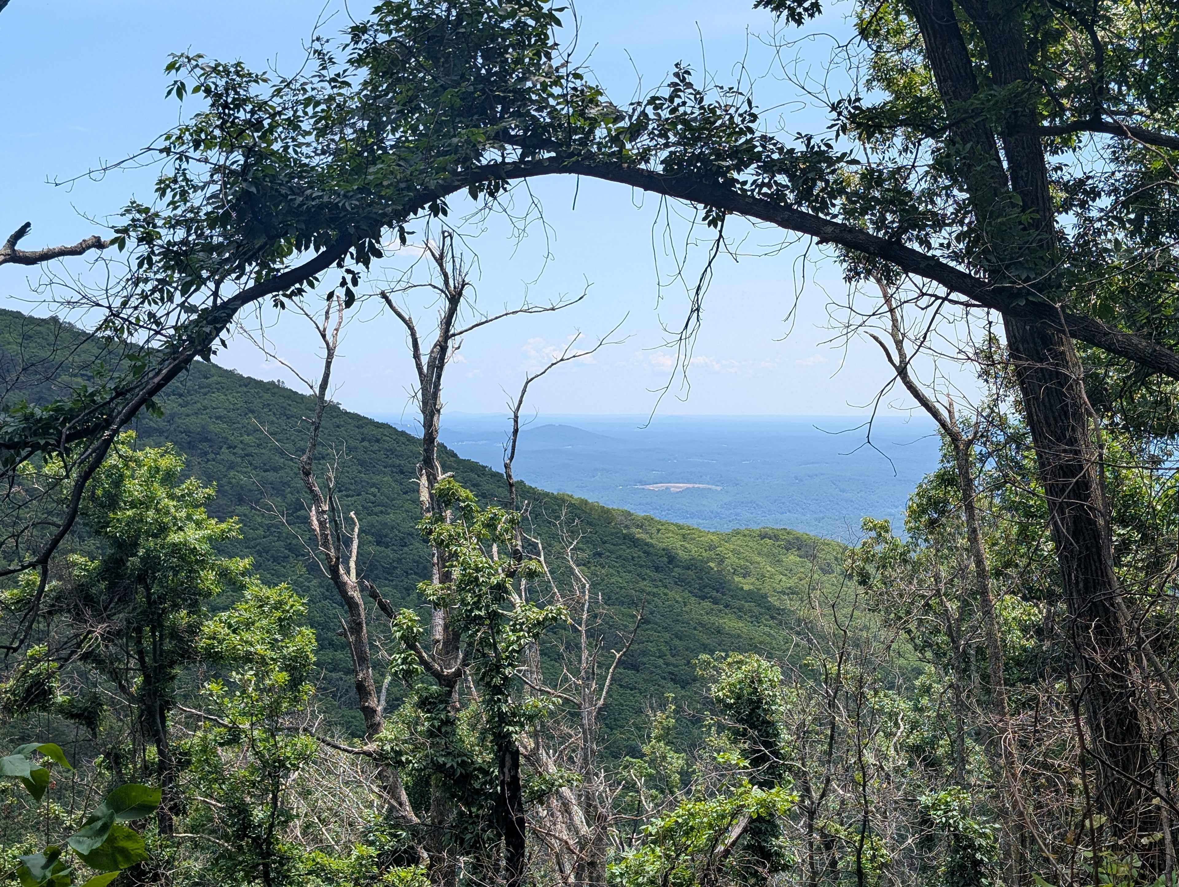Section of the AT just up the mountain
