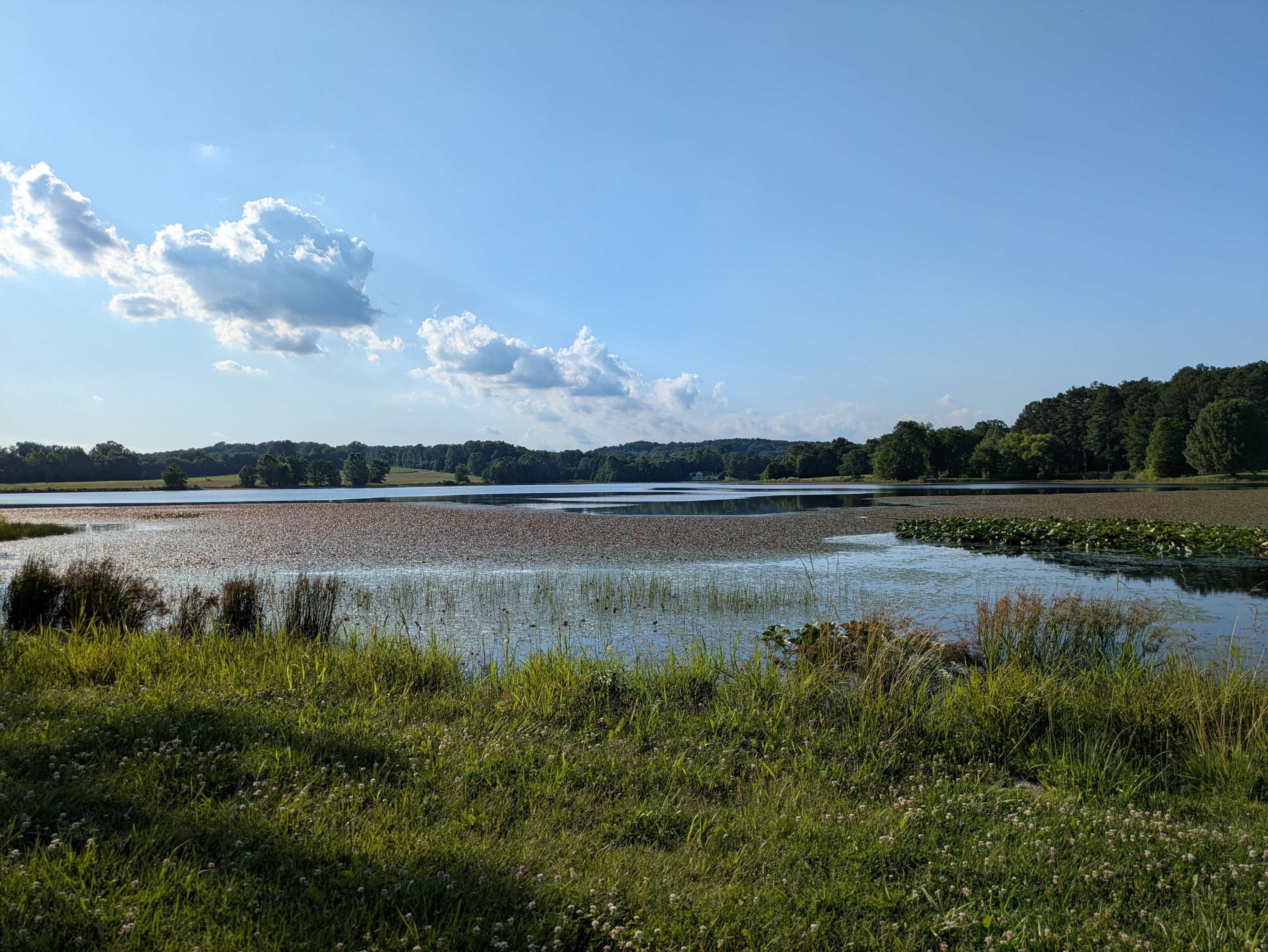 View of Lake Near Overflow