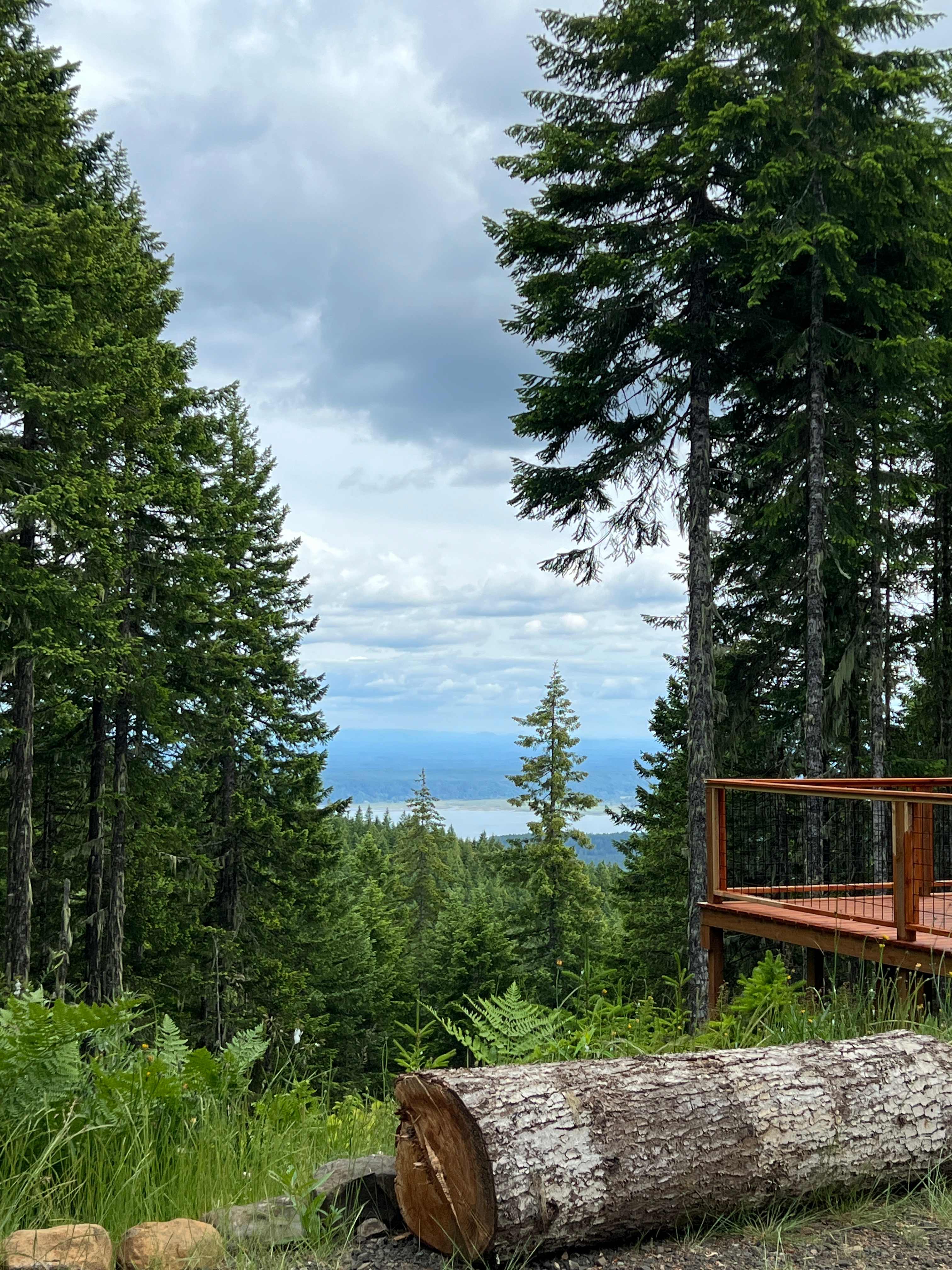 View from fire pit 