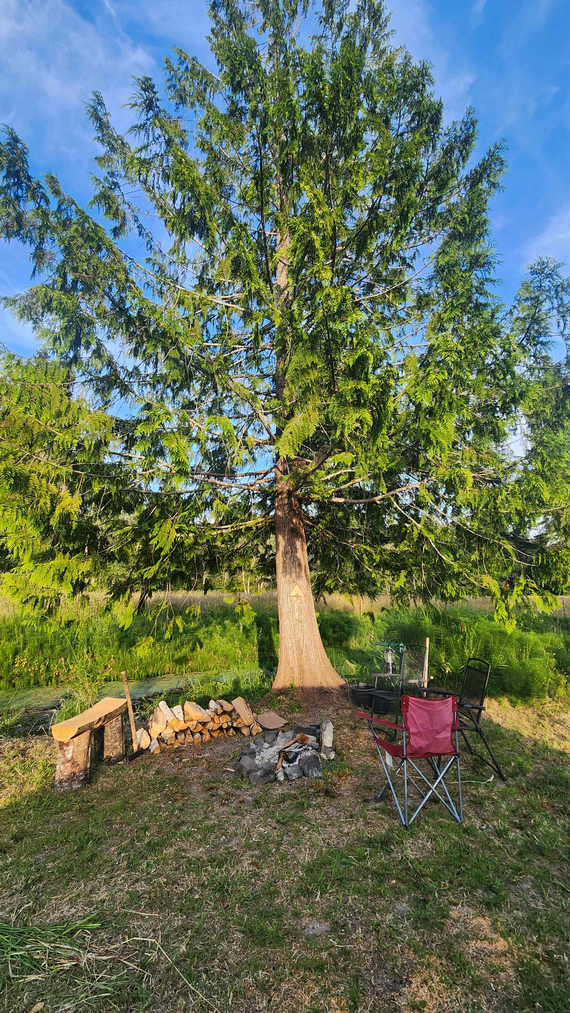 Ruby's Prairie on Little Egypt Road