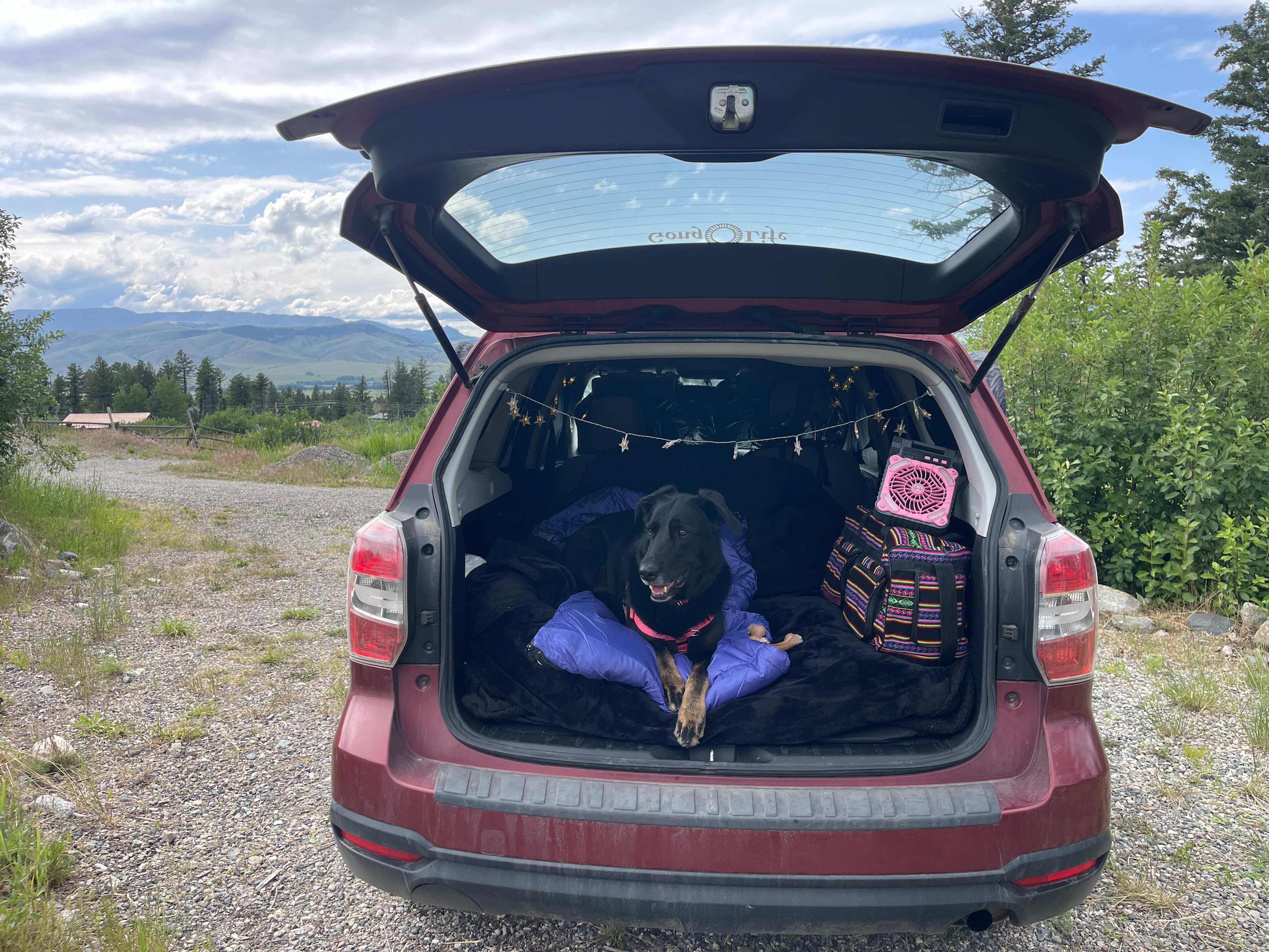 Car camp set up! 