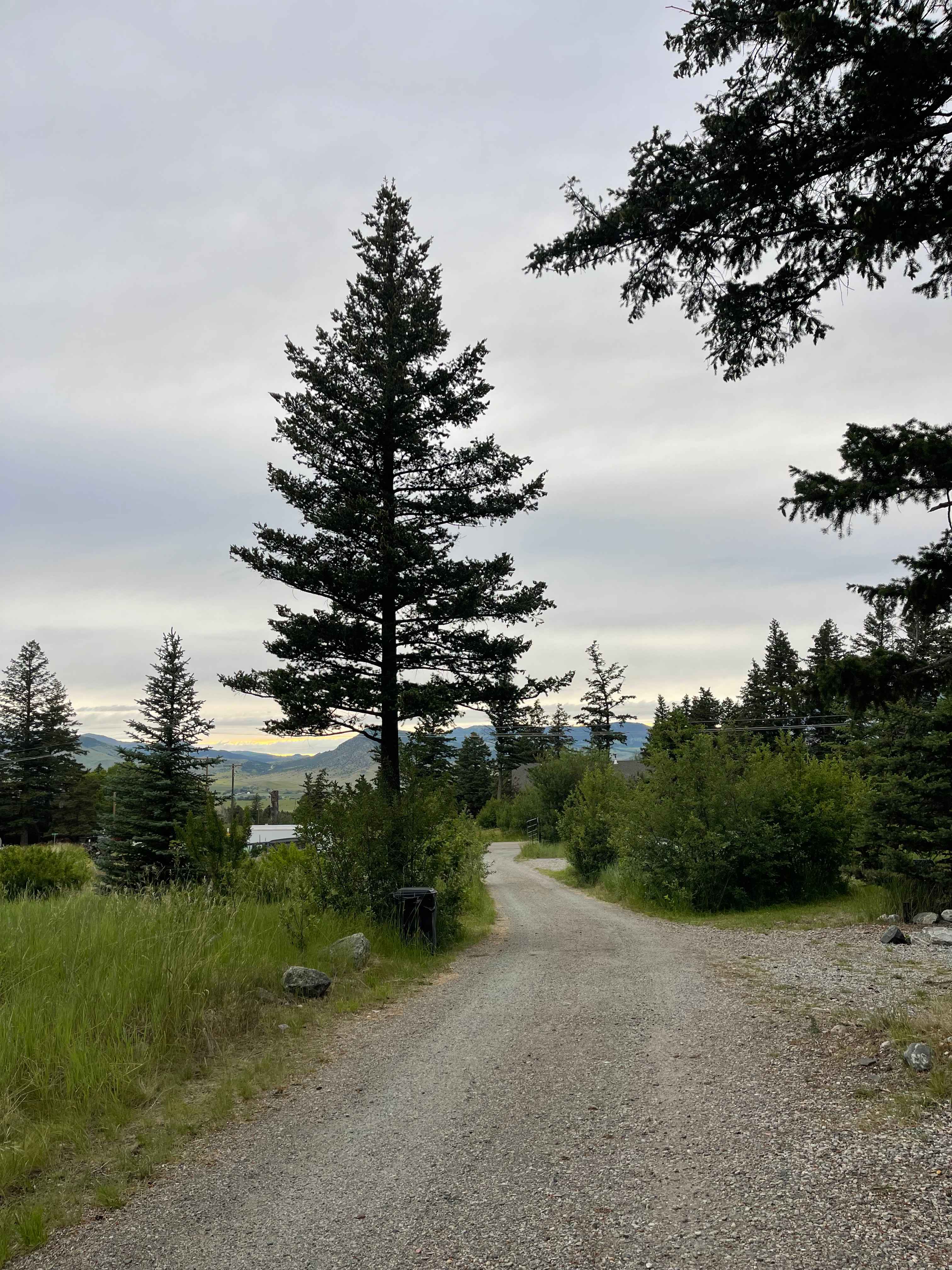 A random pic of the road 