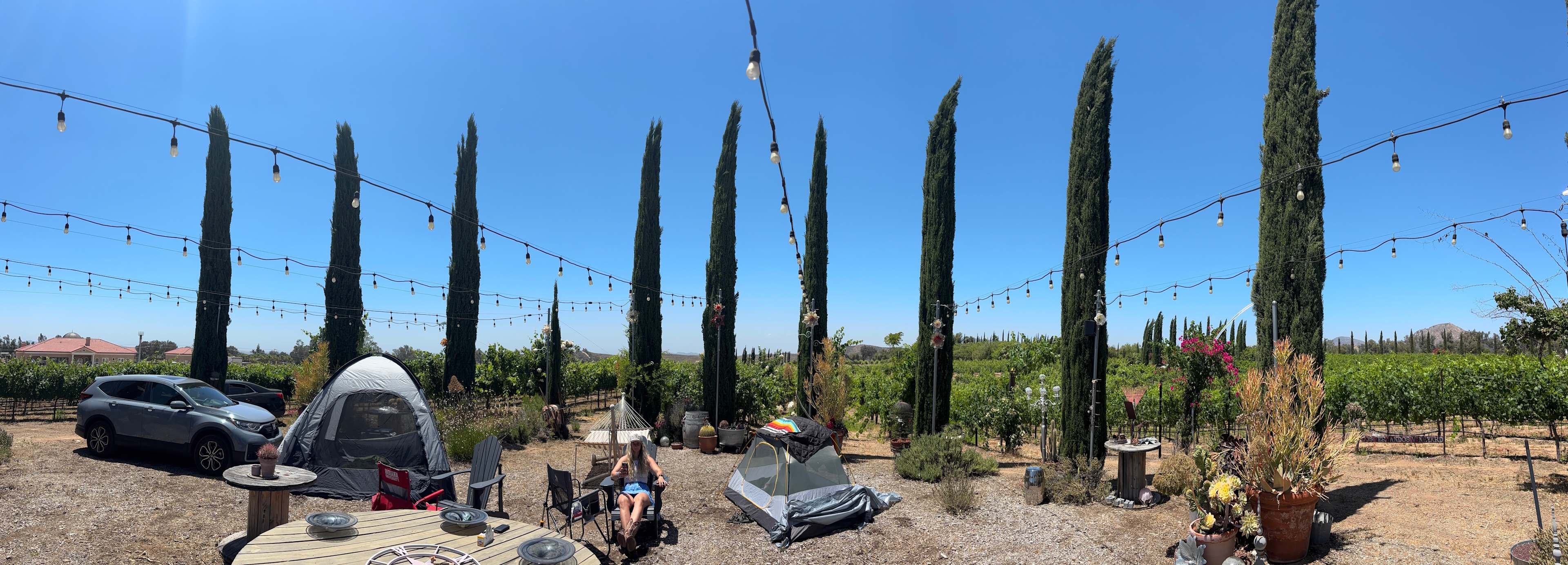 Dos Fernandos' Hideaway RV vineyard