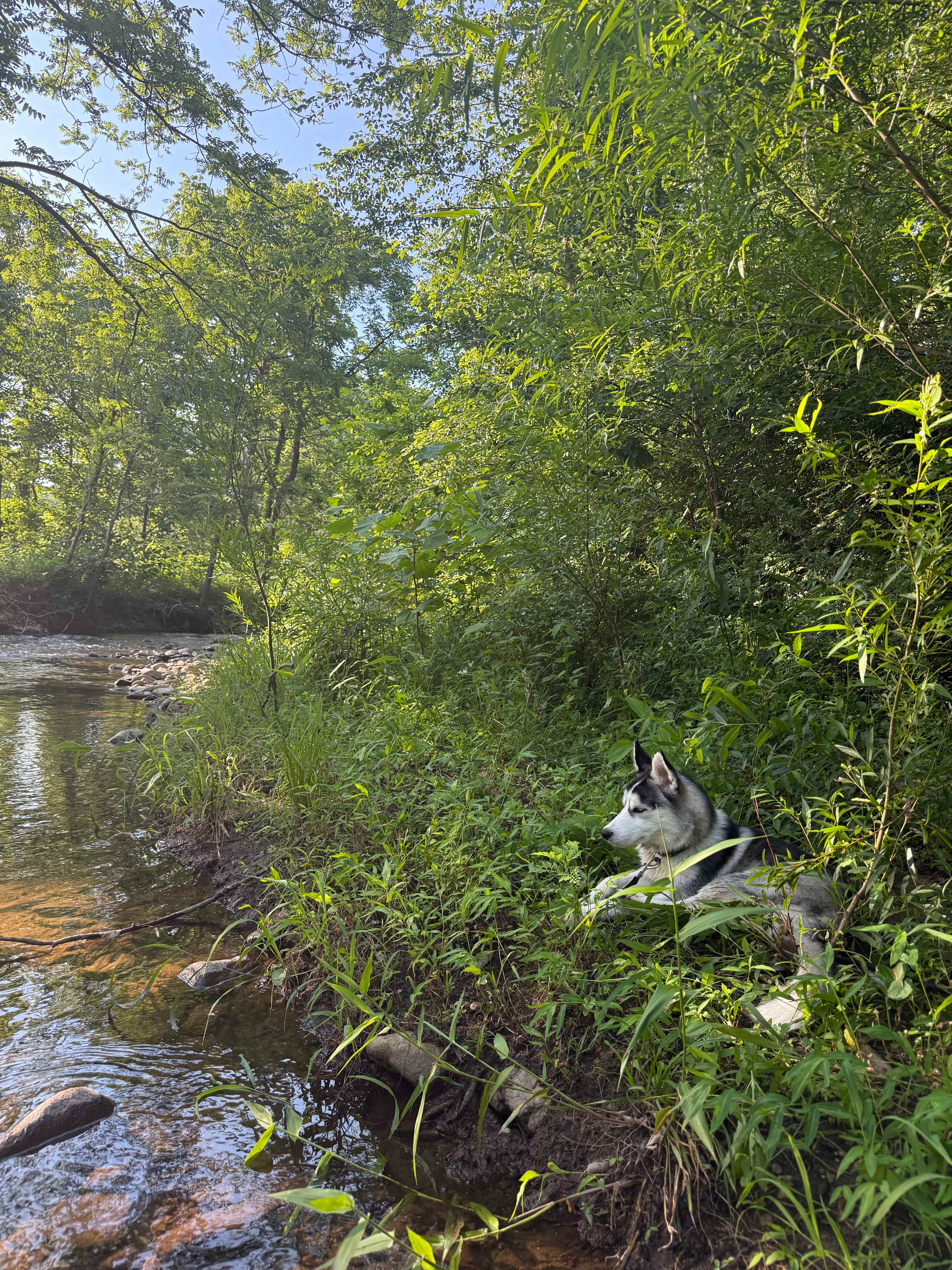 Stoney Creek Campground