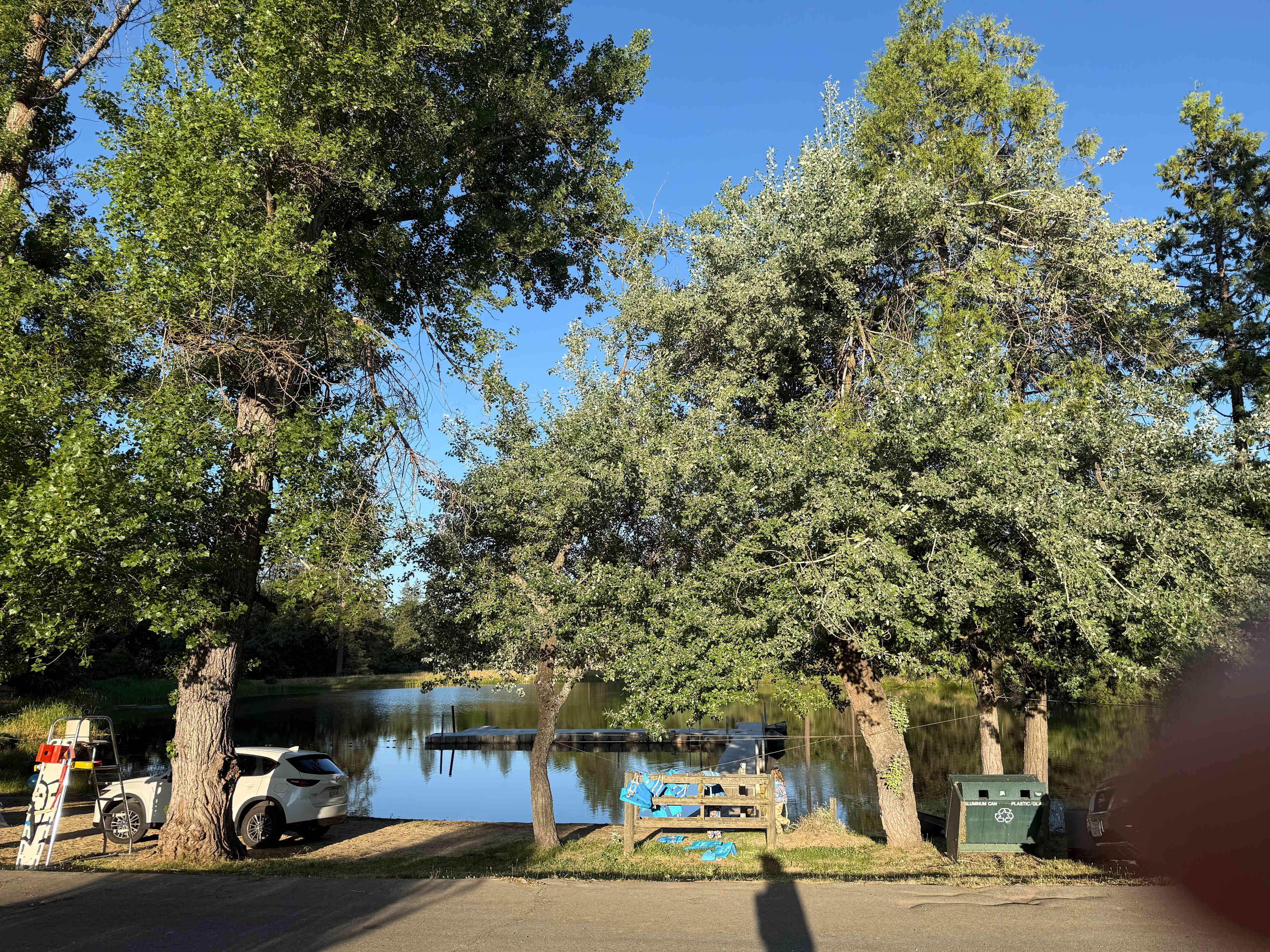 Morning view of lake 