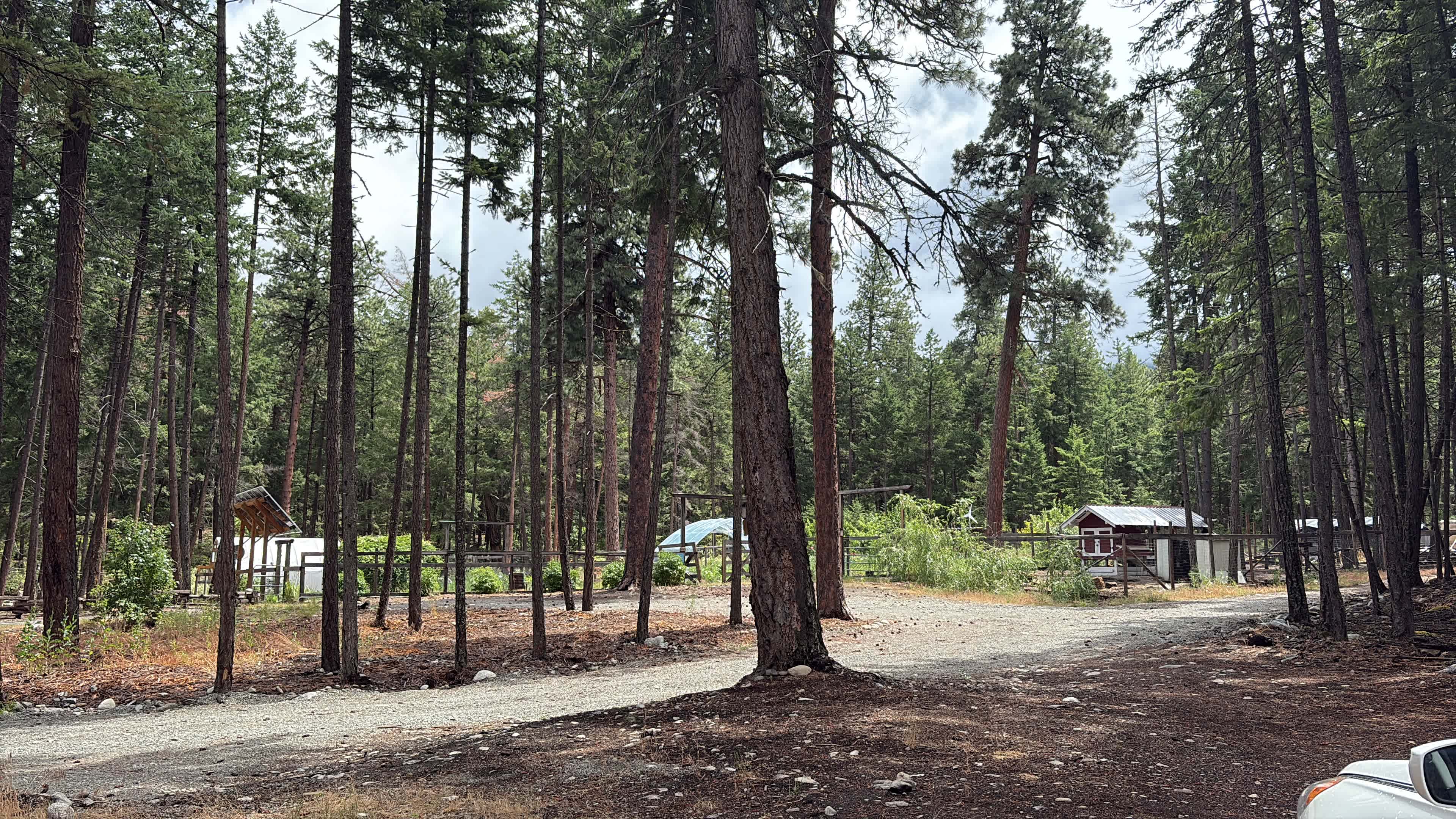 Haylmore Creek Farm