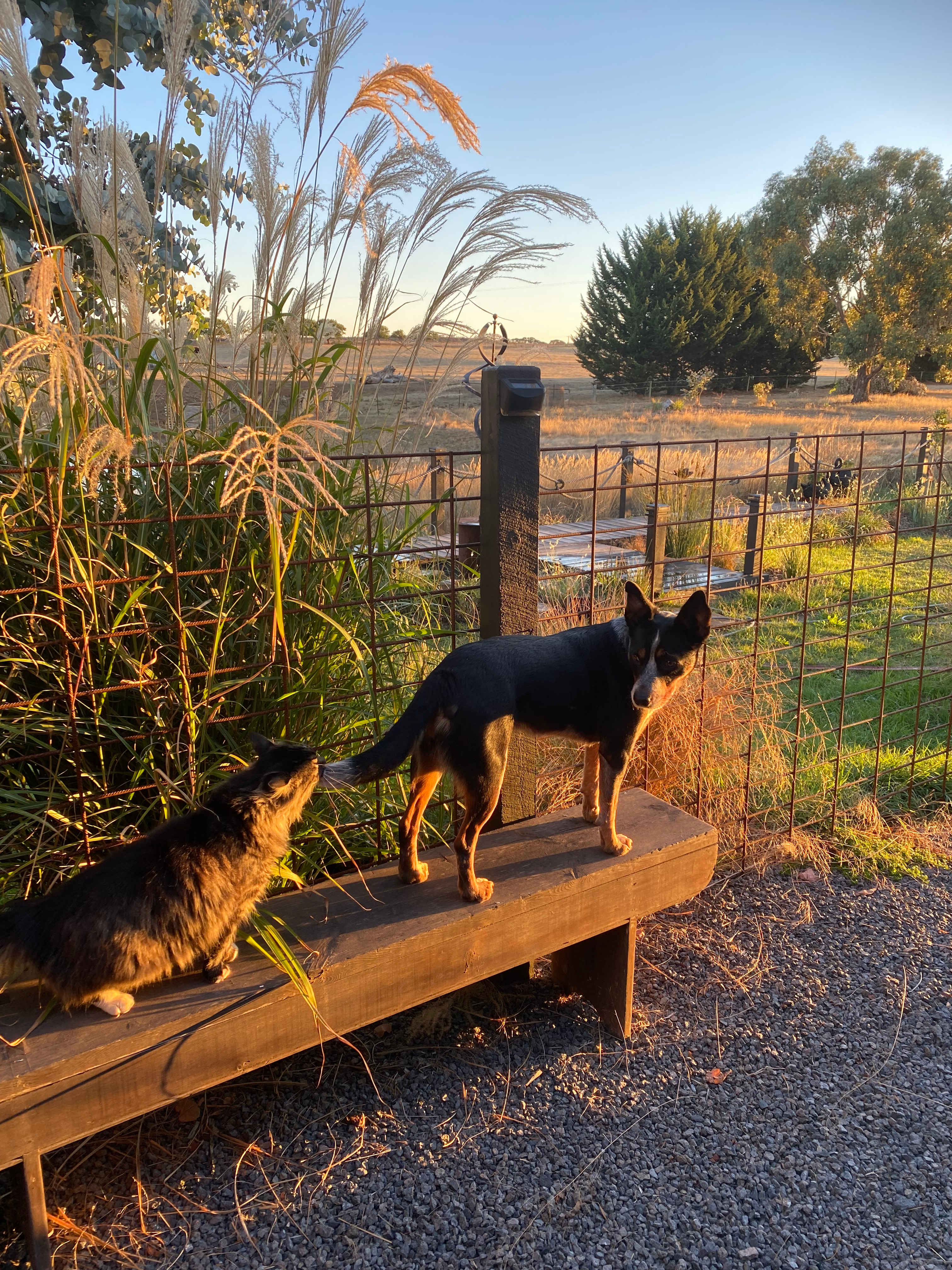 Yeramba Sunset Camp Site