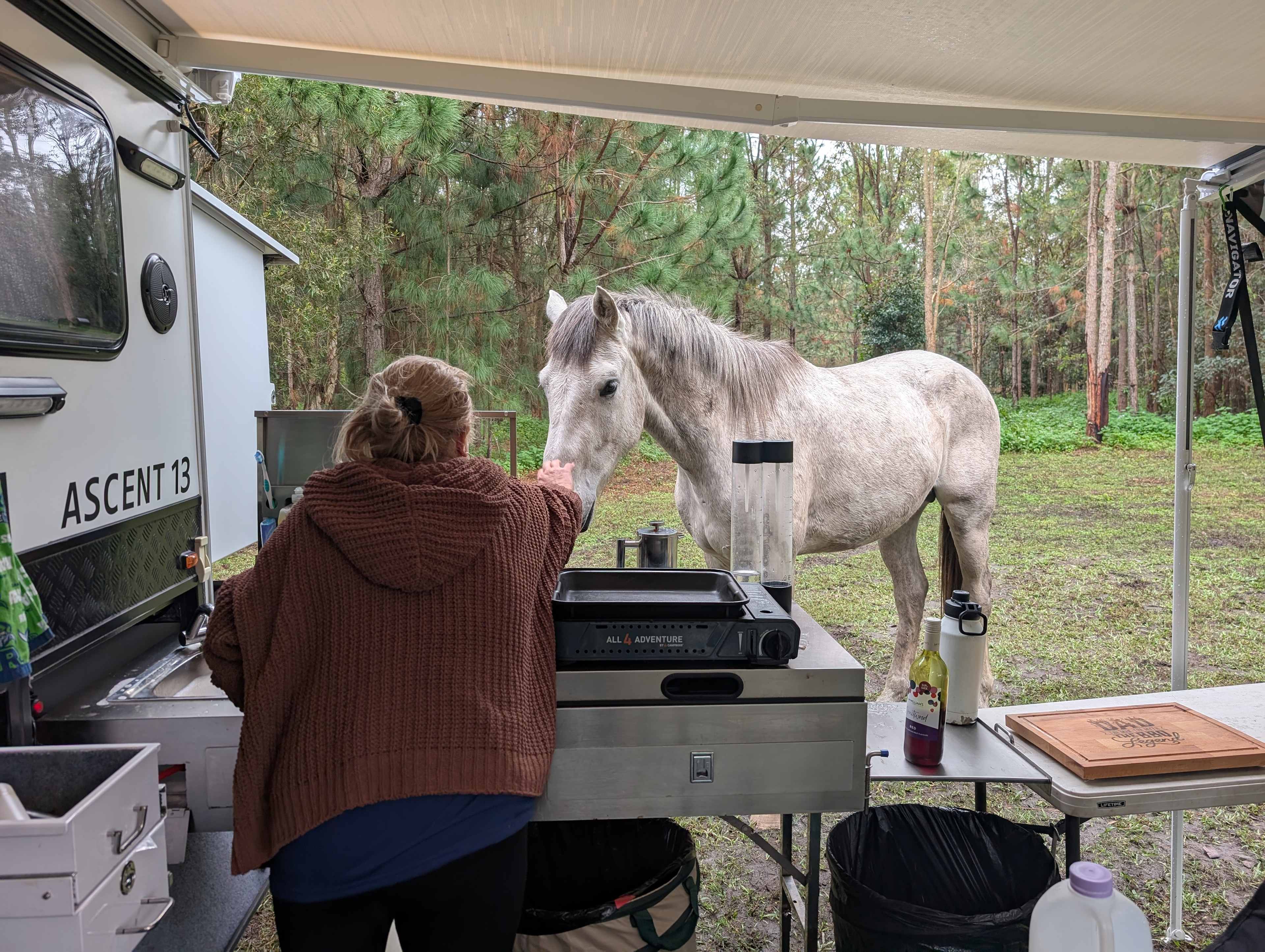 Warrego Warmblood Stud