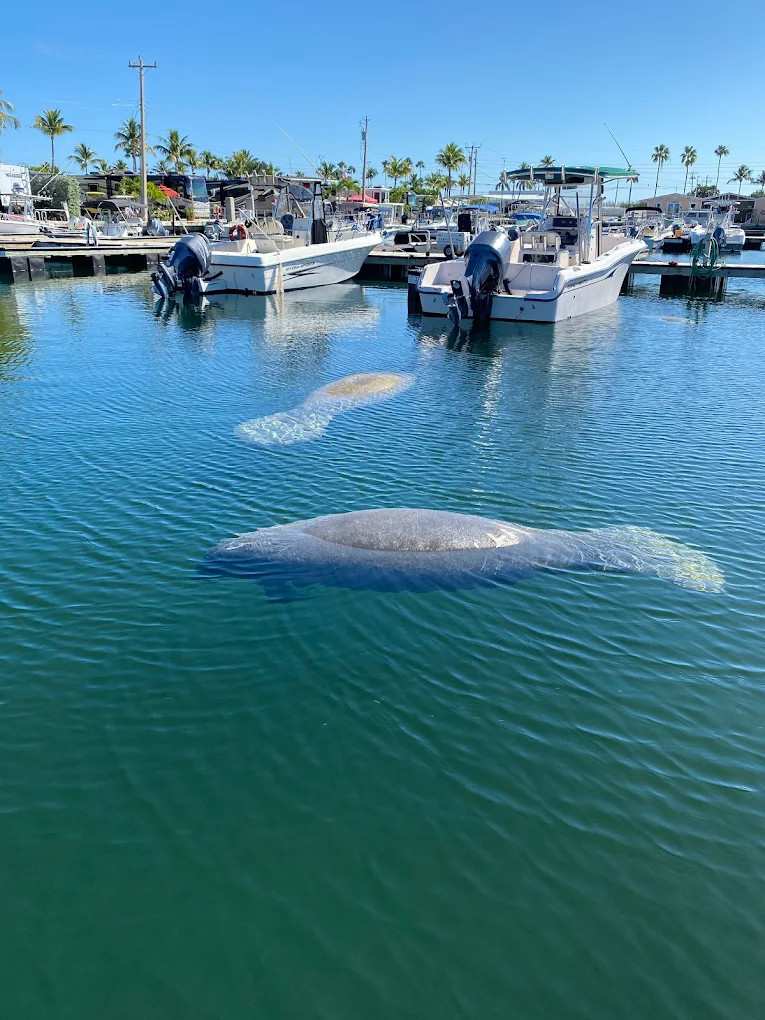 Sunshine Key RV Resort and Marina