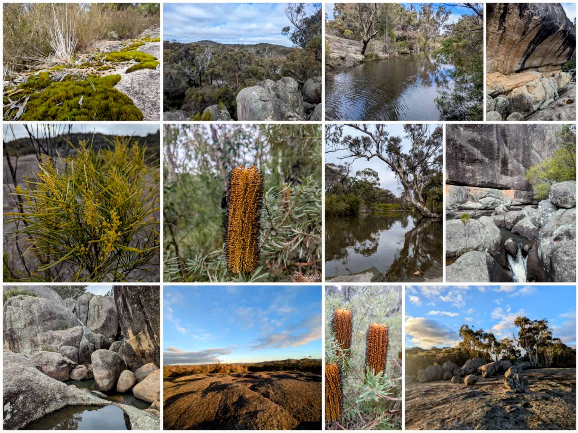 Girraween National Park 