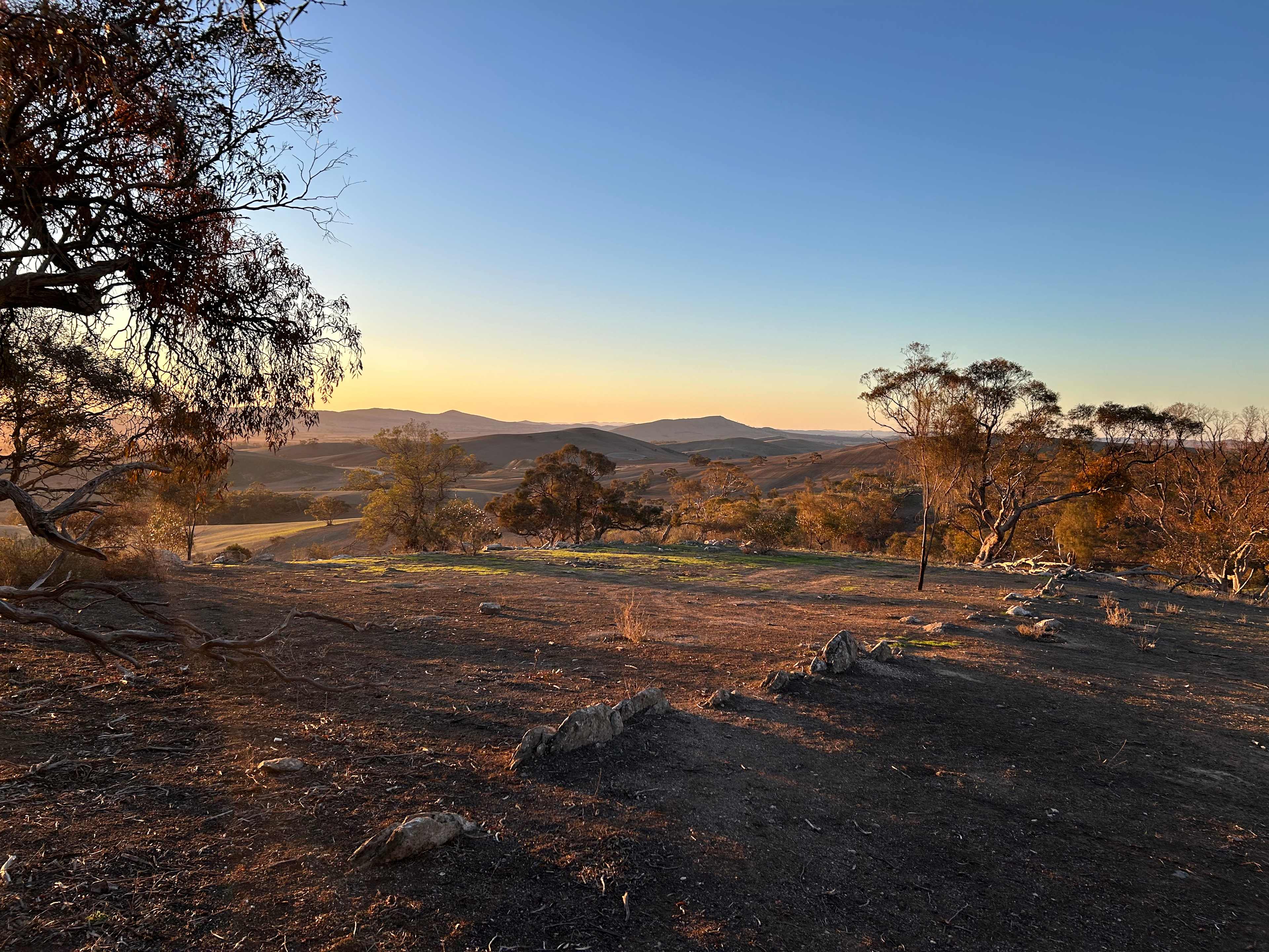 View from site 11