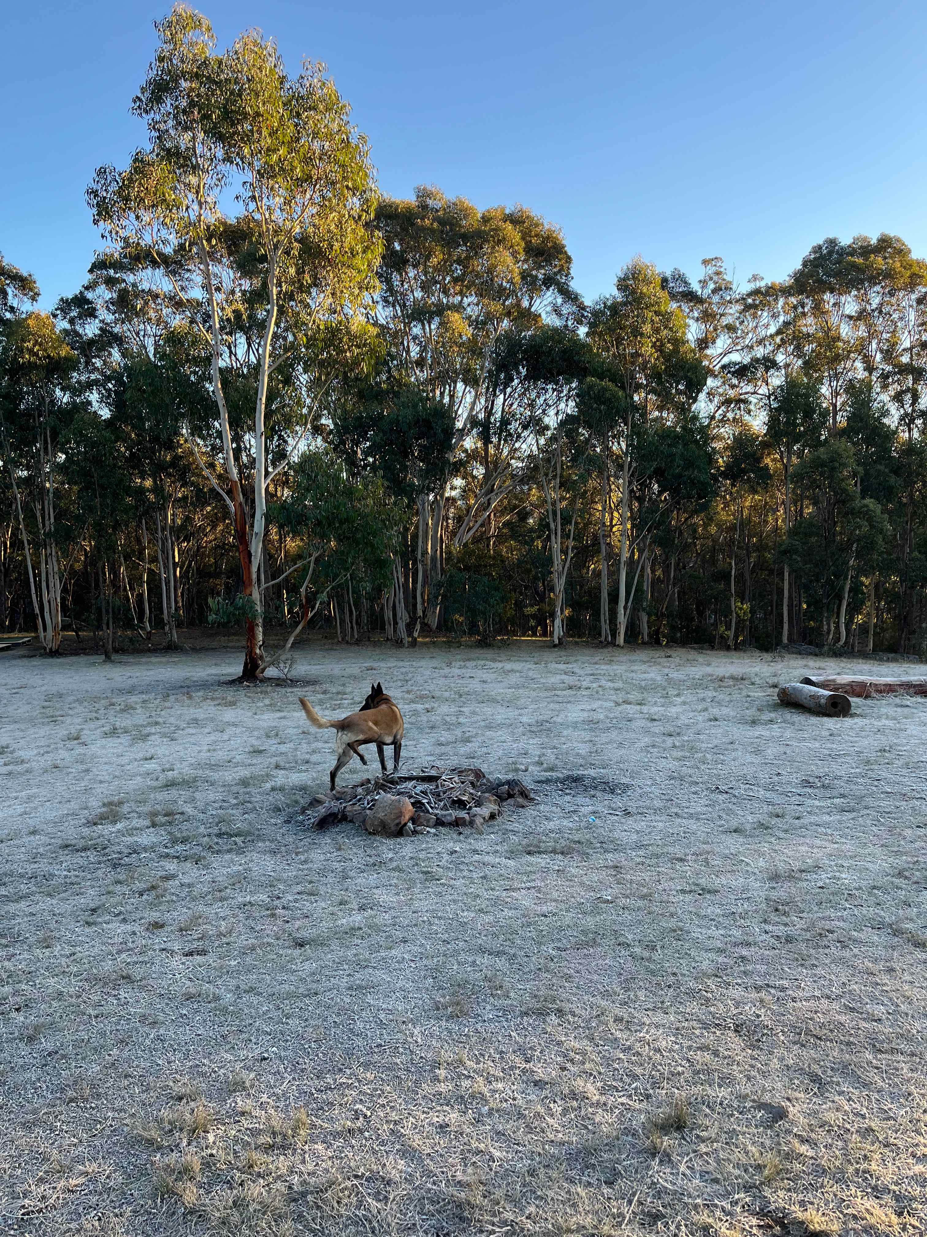 Megalong Valley Farm
