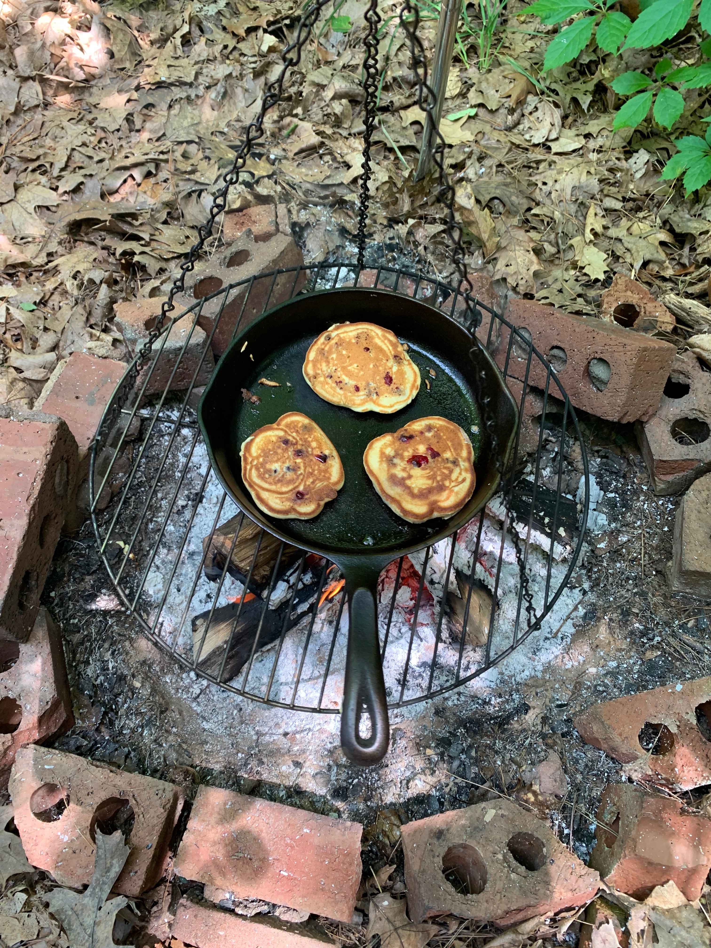 Blueberry Farm Campsites