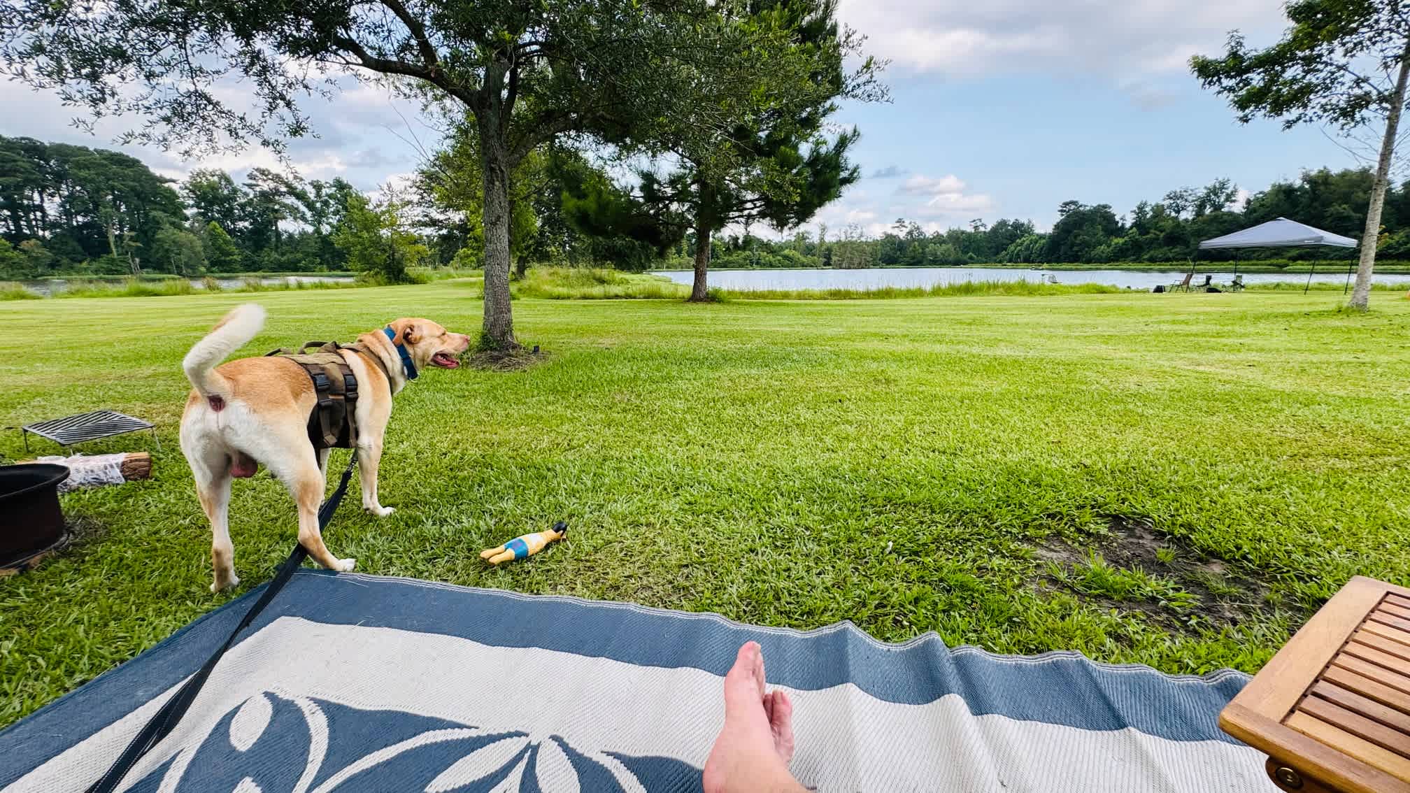 JCO Campground at Lee Baysden Pond