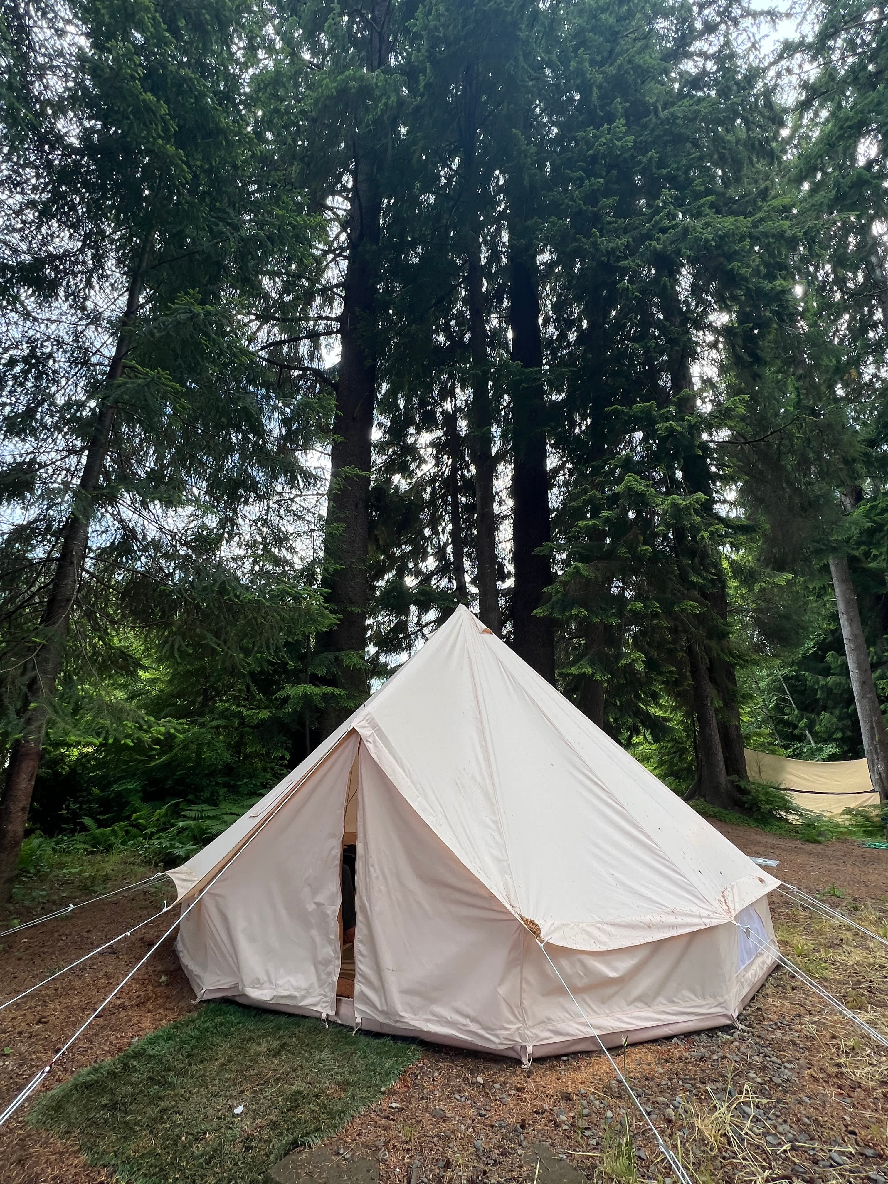 Tent 6
