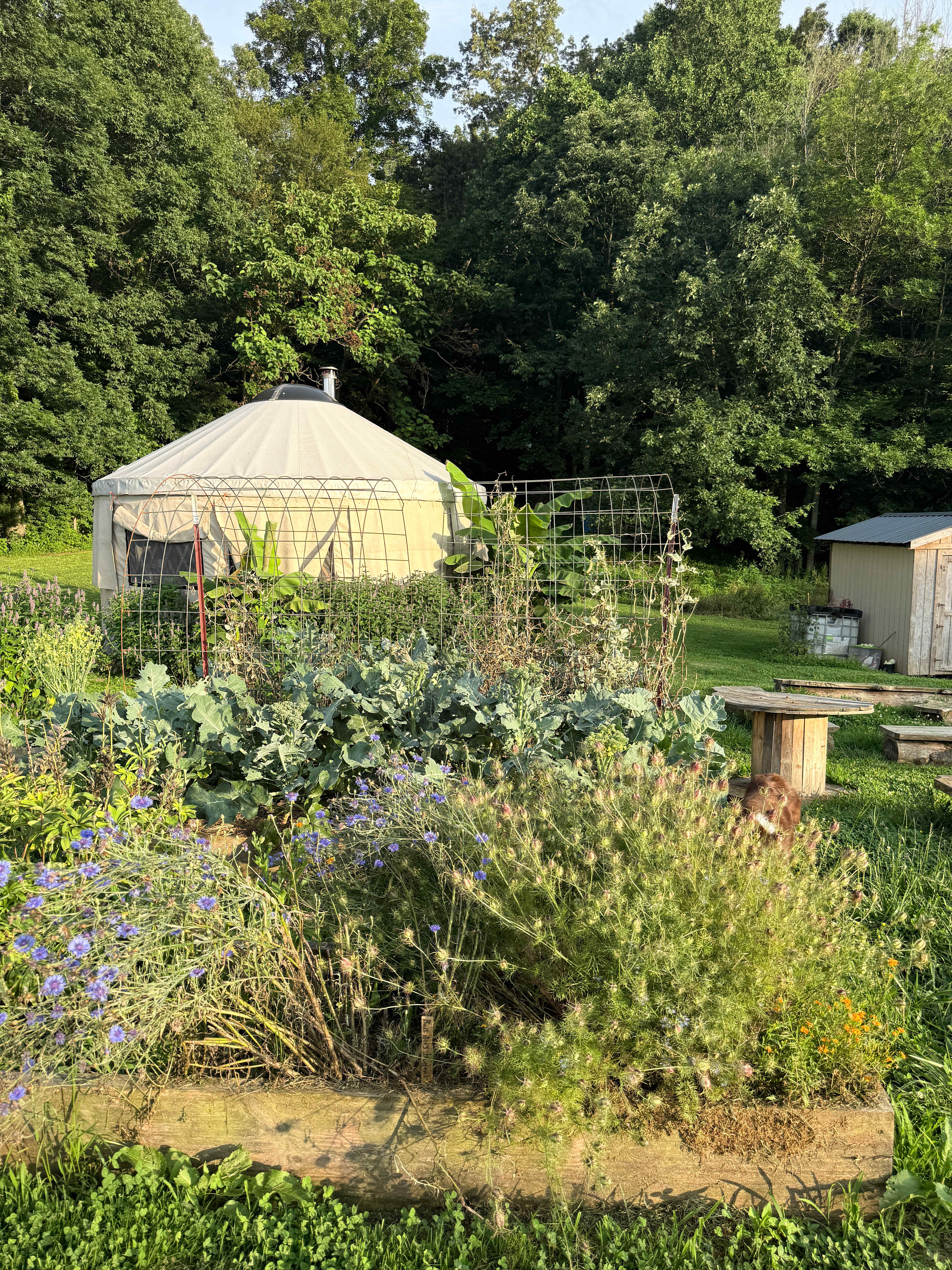 Fauna Forest Farm