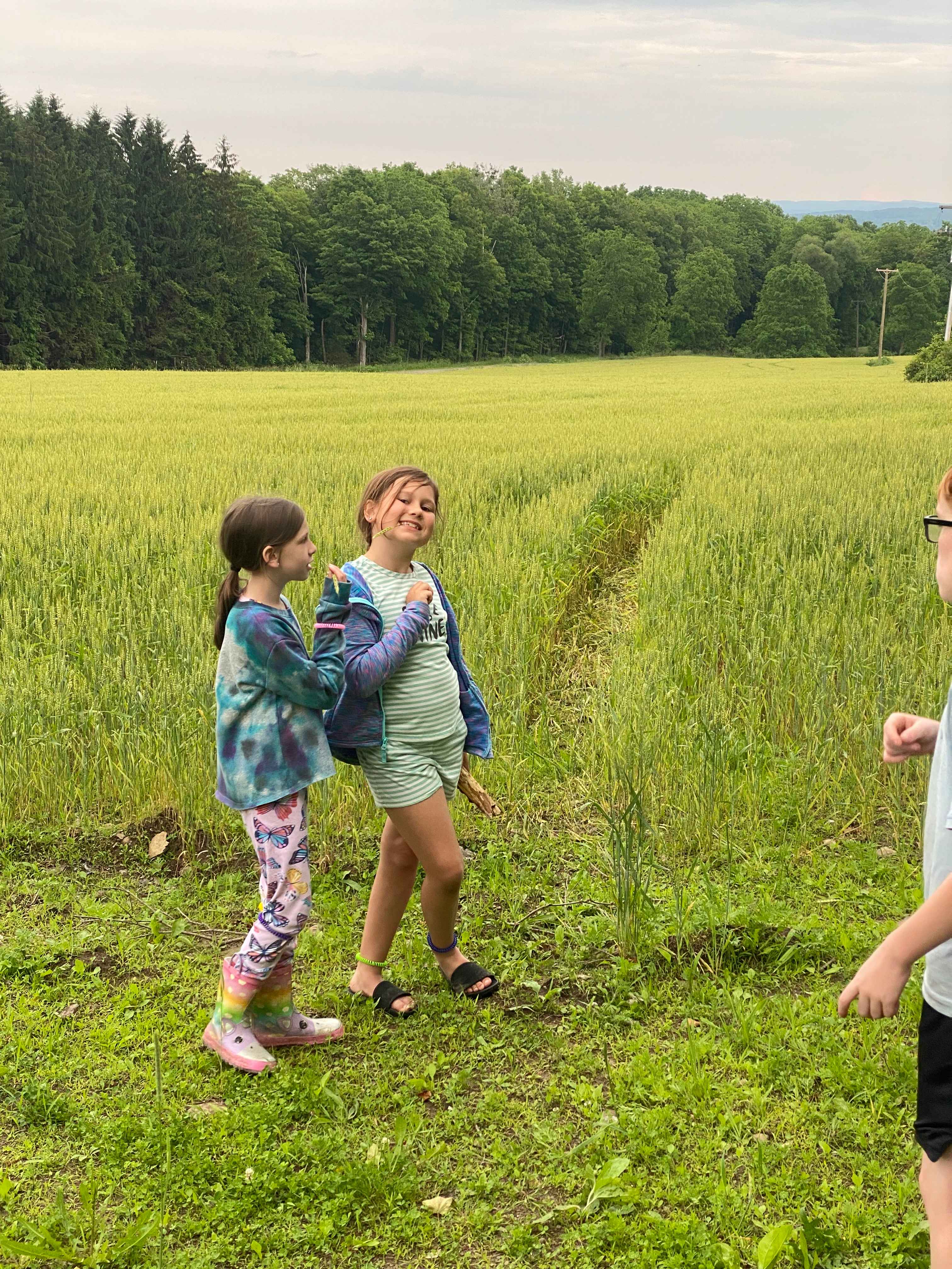 Zoar Valley Forest Retreat