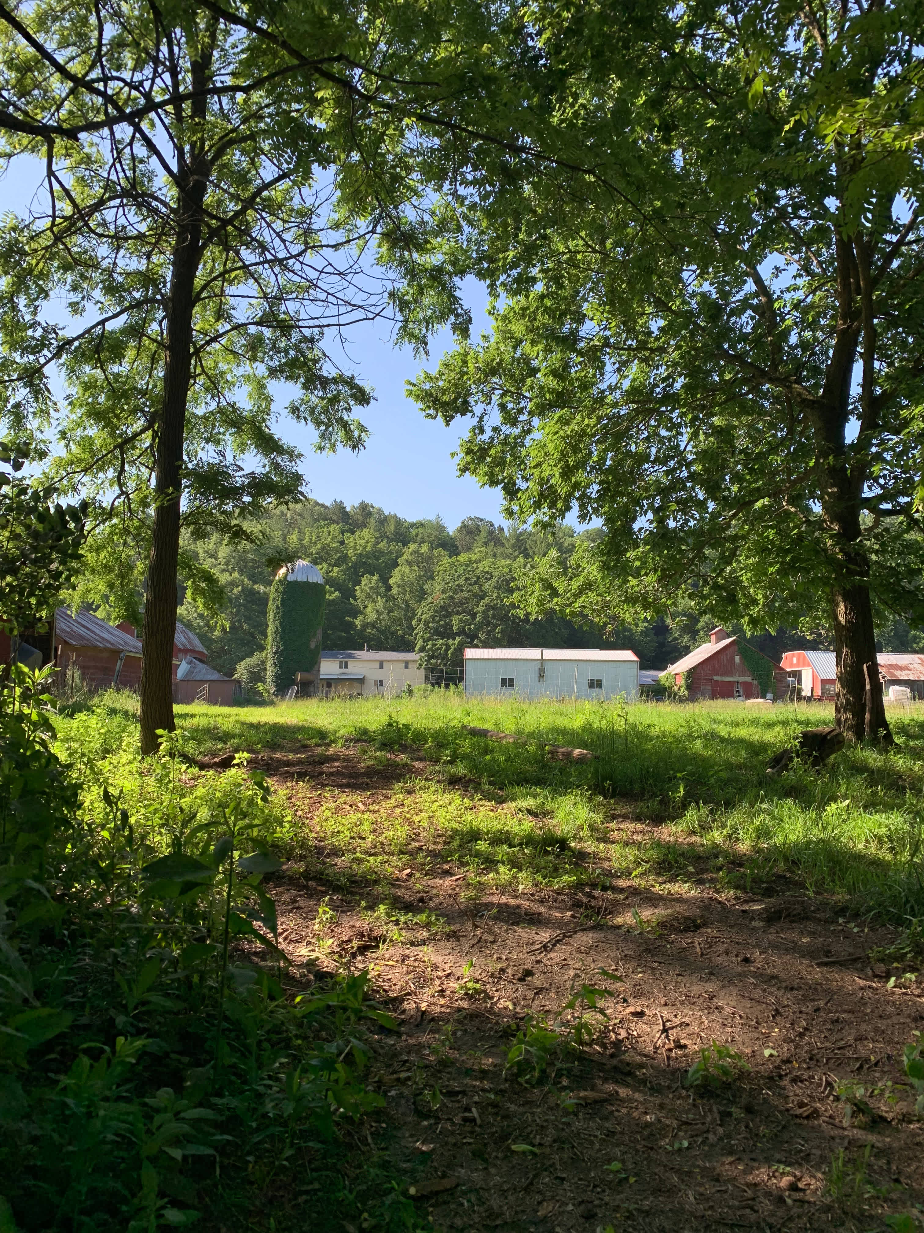 Glamping+Goats+Gardens 175Acre Farm