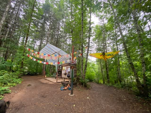 Elfendahl Forest