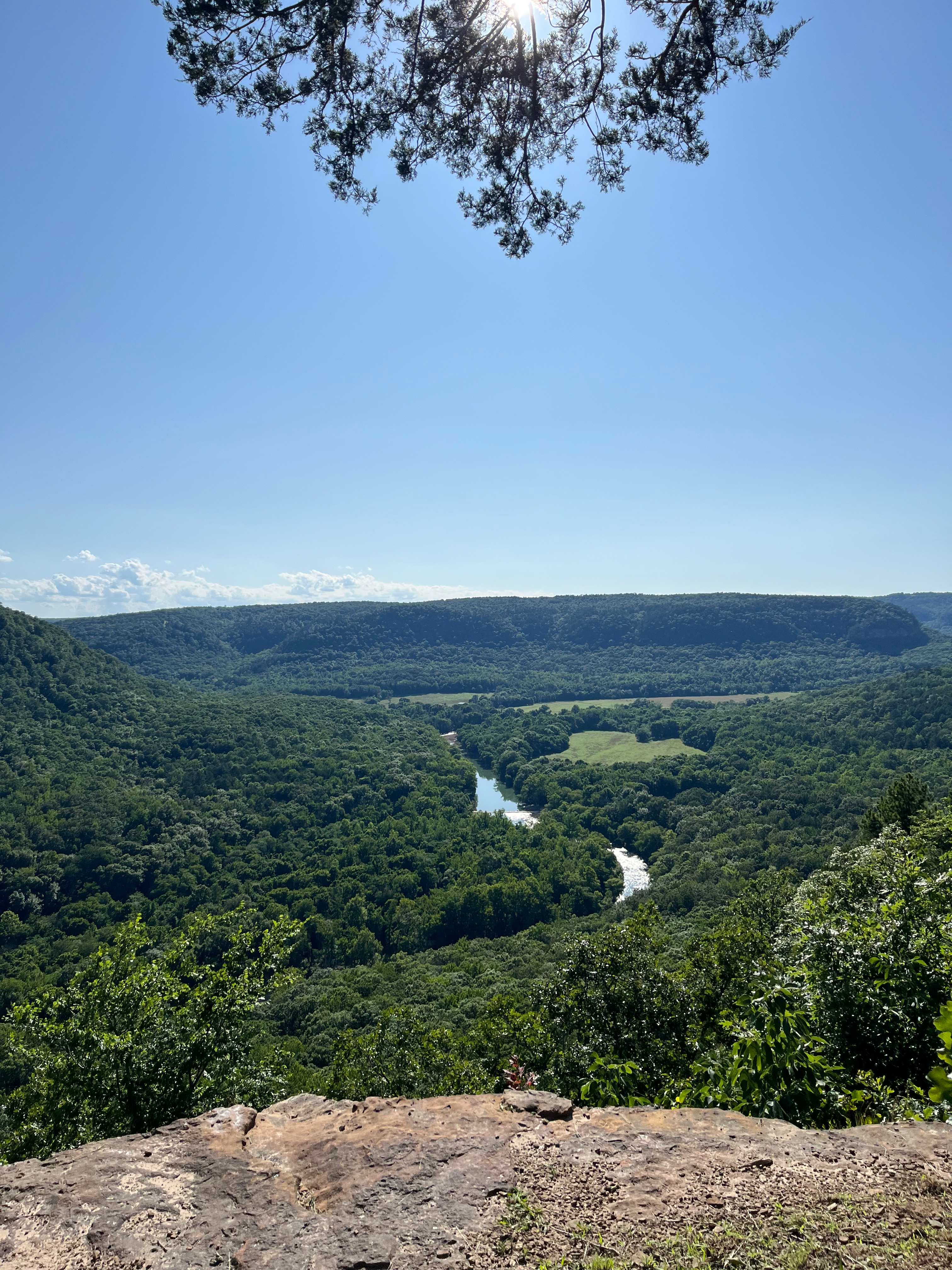 Harper Bluff & Numu Coffee Roastery