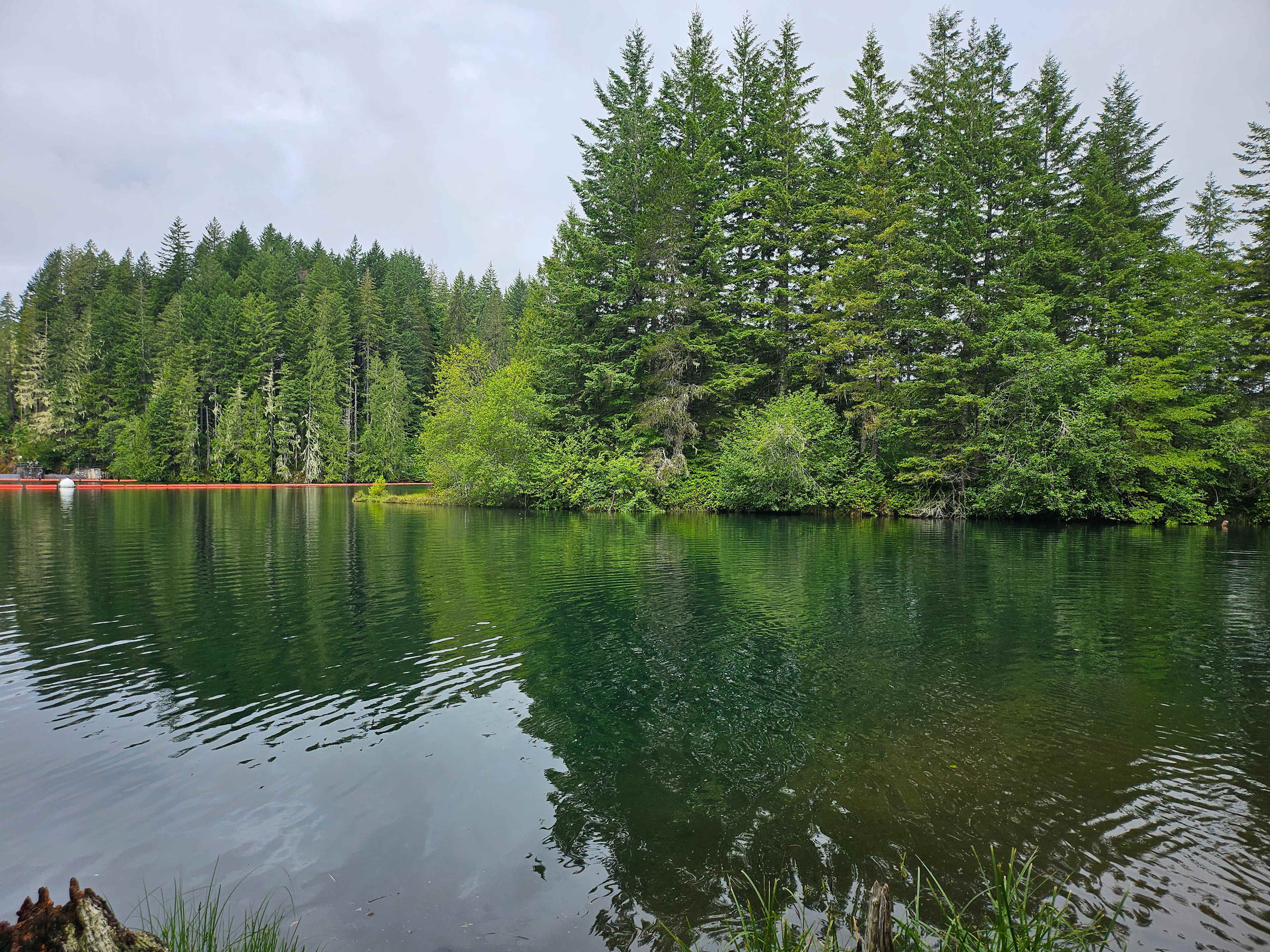 Lake Cushman RV Camping Lot